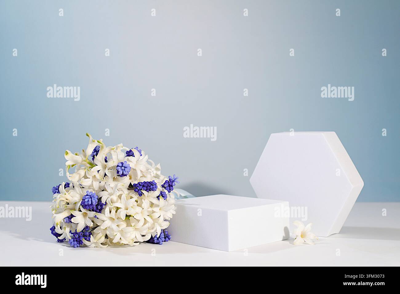 Leeres Produktpodium und frische lebende Frühlingsblumen. Abstraktes schönes Blumenarrangement mit Hyazinthen und Muskariblumen, Banner. Bühne für Business Con Stockfoto