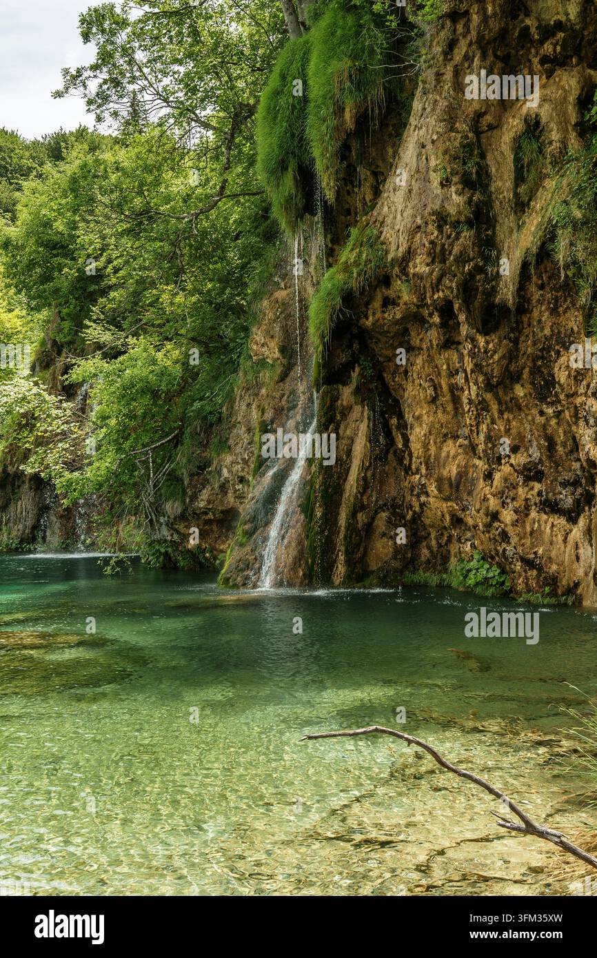 Ein Wasserfall stürzt einen Felsen hinunter in einen See mit sichtbaren Baumstämmen am Grund. Das Konzept des Wasserschutzes Stockfoto