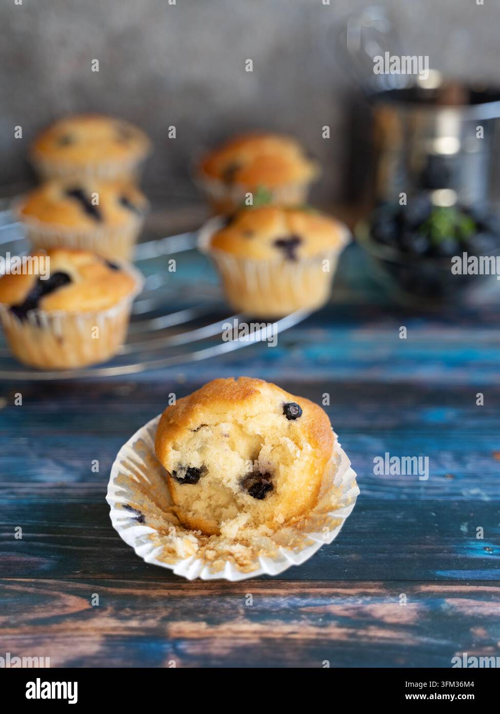 Frischer hausgemachter Blaubeermuffin, fotografiert auf einem rustikalen blauen Holzuntergrund Stockfoto