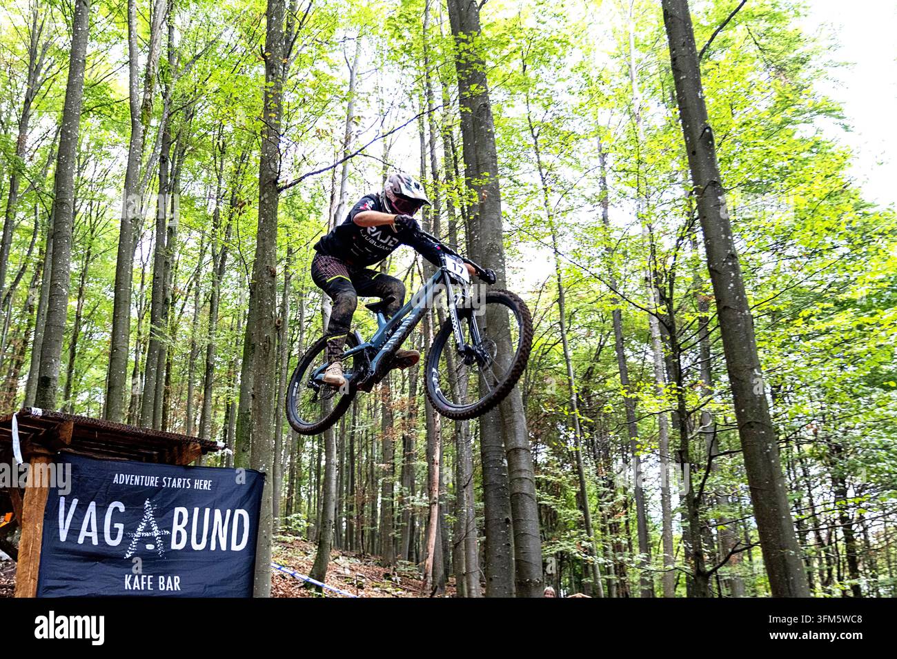 Eine Actionaufnahme eines MTB-Downhill-Fahrers in der Luft, der einen spektakulären Sprung auf dem Trail in Kocevski Rog in Richtung der Zielgeraden Soteska macht. Stockfoto