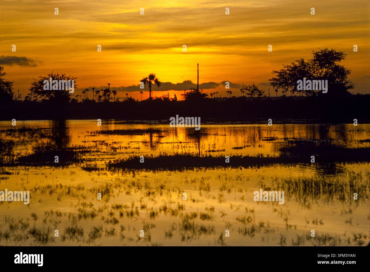 Sonnenuntergang über Reisfeldern, Provinz Takeo, Kambodscha, September 1988 Stockfoto