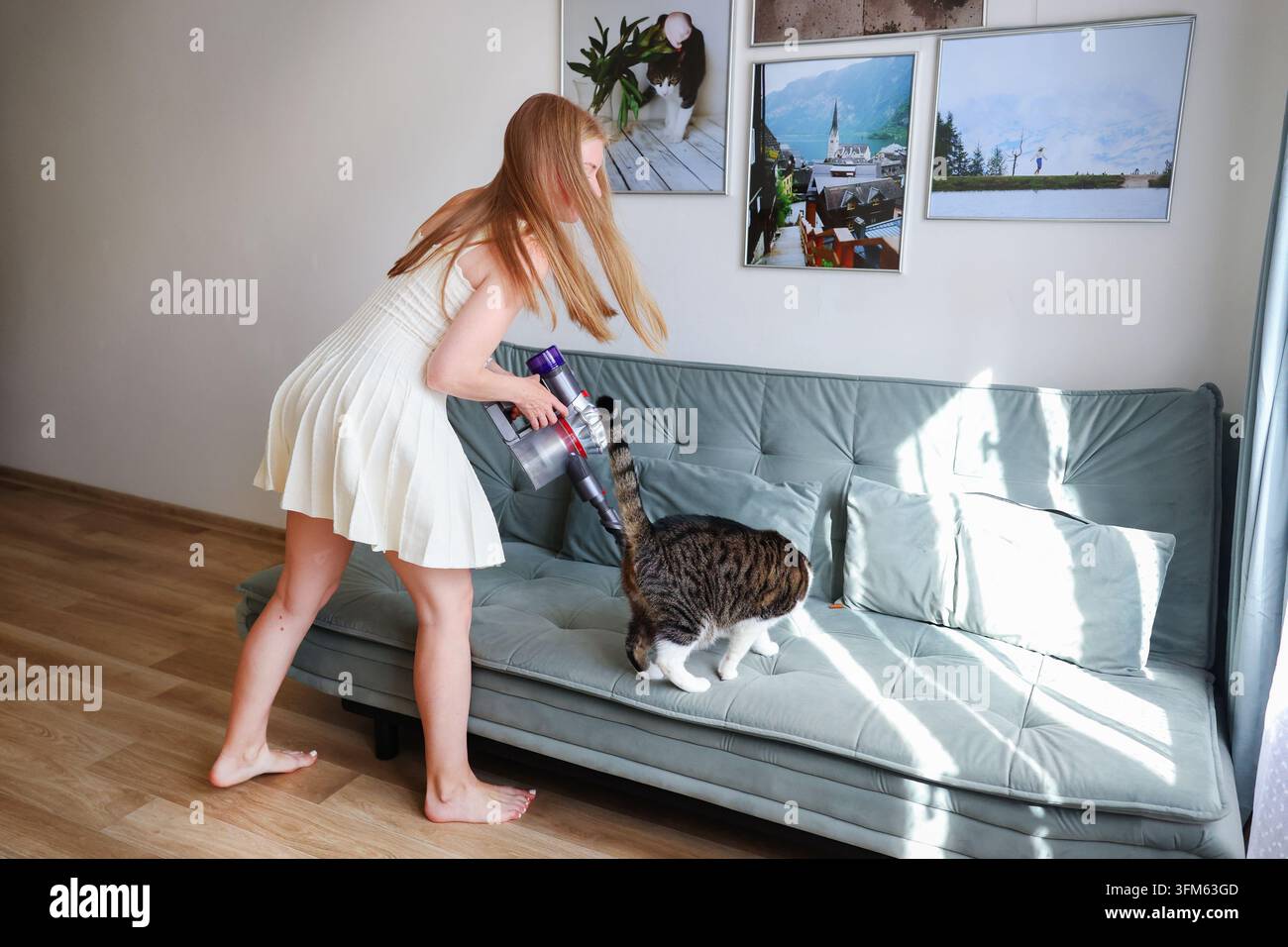Haustierbesitzer reinigt Polster mit einem Handstaubsauger, ein Konzept von Hygiene und komfortablem Leben mit Tieren. Stockfoto