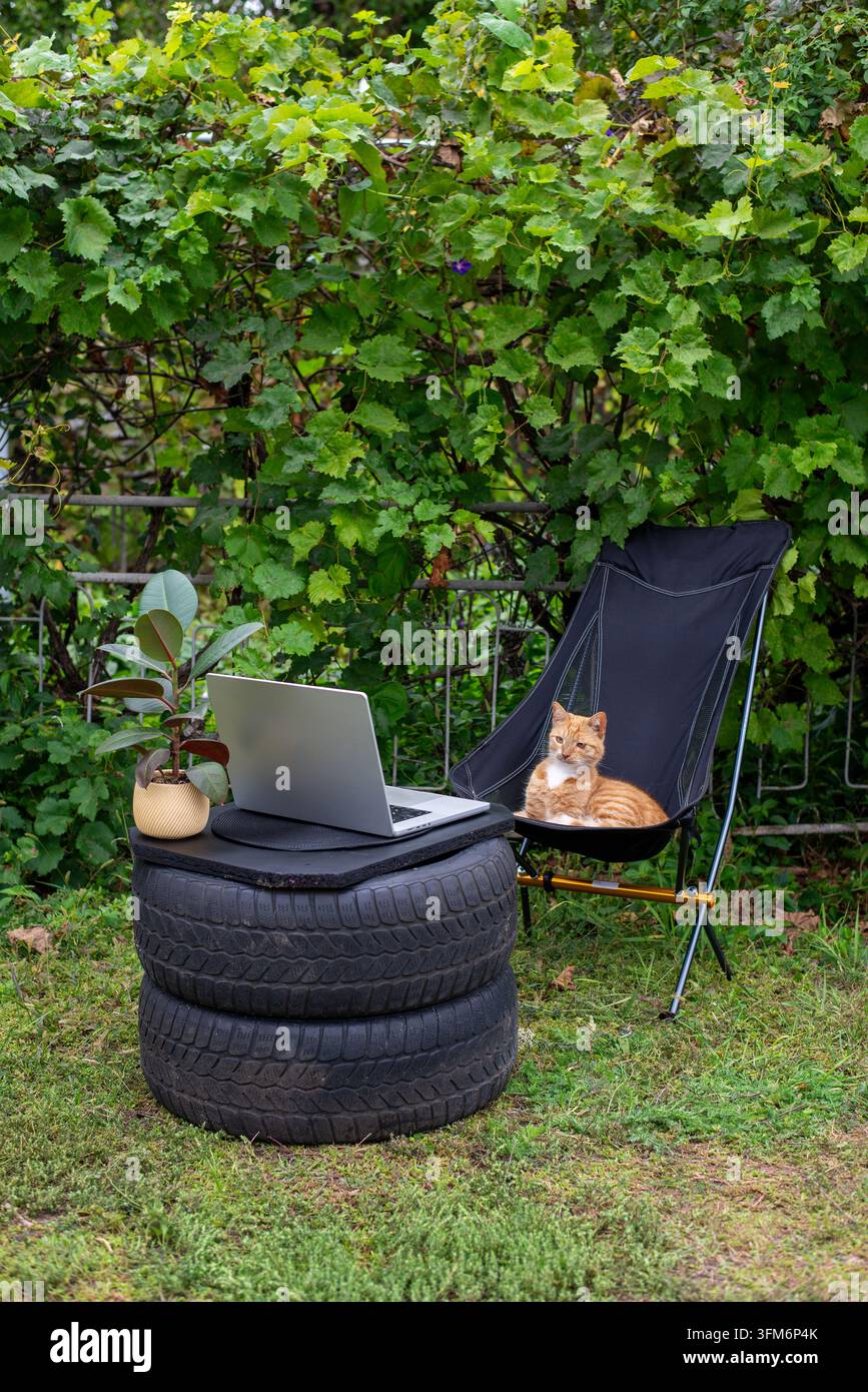 Improvisierter Outdoor-Arbeitsplatz: Laptop auf gestapelten Reifen, Topfpflanze und ein orangefarbener Tabby, der in einem Klappstuhl in einem grünen Hinterhof liegt. Stockfoto