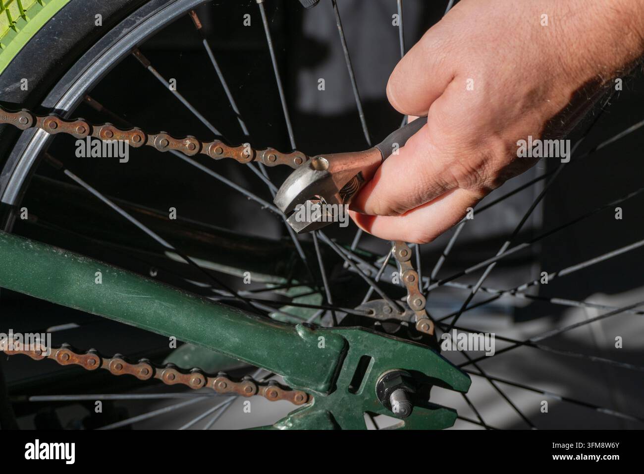 Ein Fahrradmechaniker greift einen verstellbaren Schraubenschlüssel, um die Kette und die Hinterachs-Lager während der Fahrradwartung in einer Werkstatt einzustellen. Stockfoto