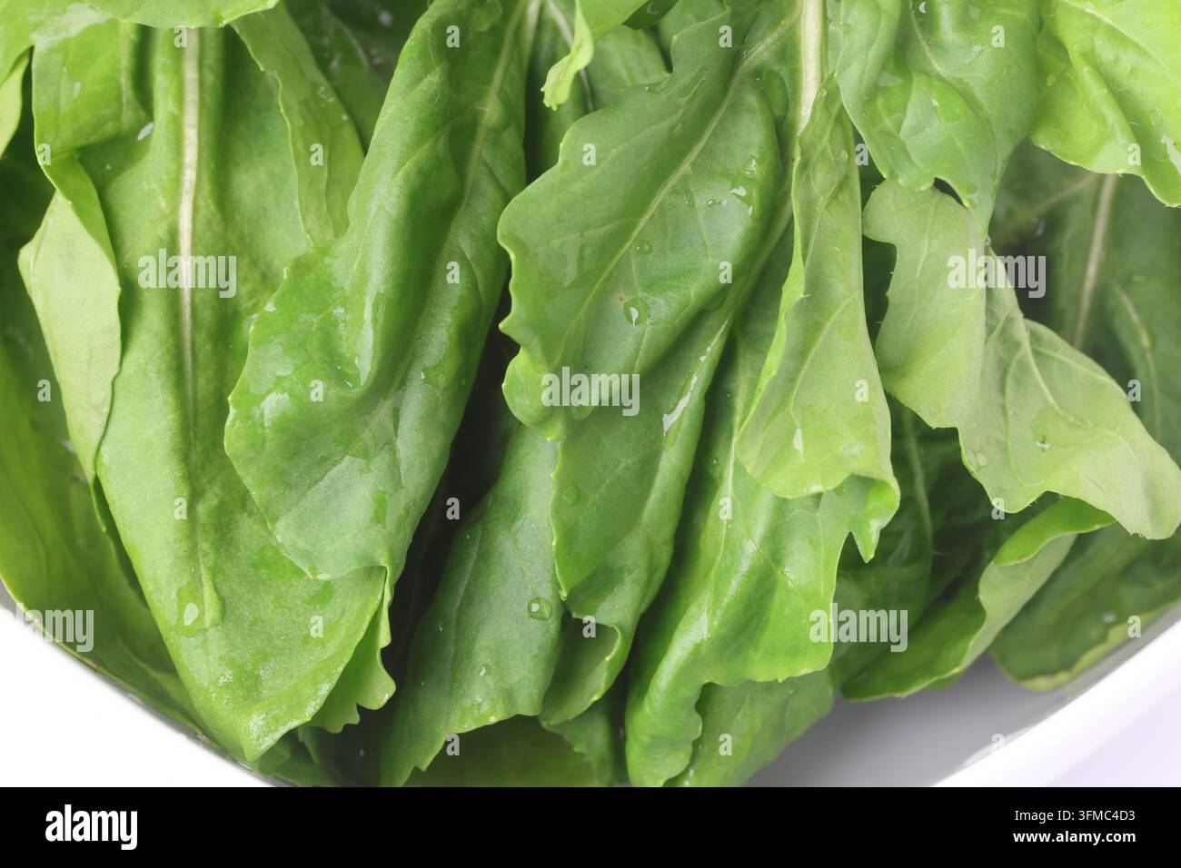 Frische grüne Rucola-Röhrenblätter in einer Keramikschale isoliert auf weißem Hintergrund Stockfoto