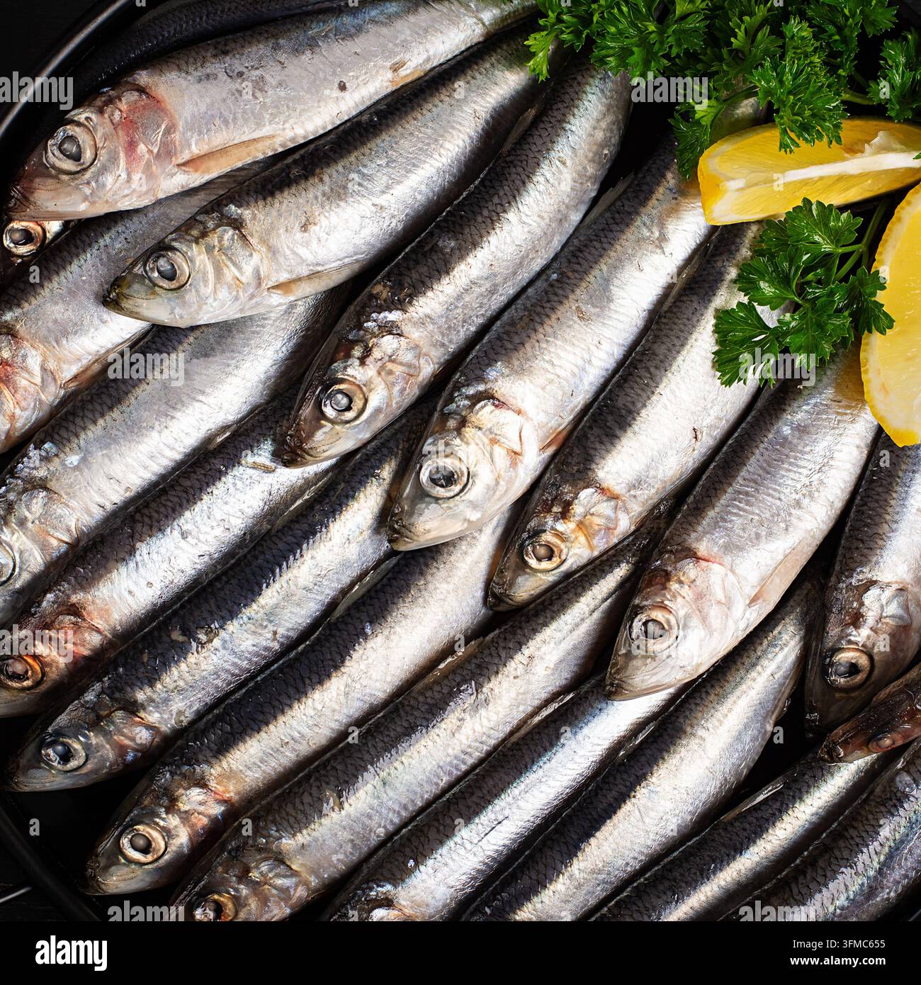 Frische Atlantische Sardellen mit Zitrone und Kräutern Flat Lay. Textur Stockfoto