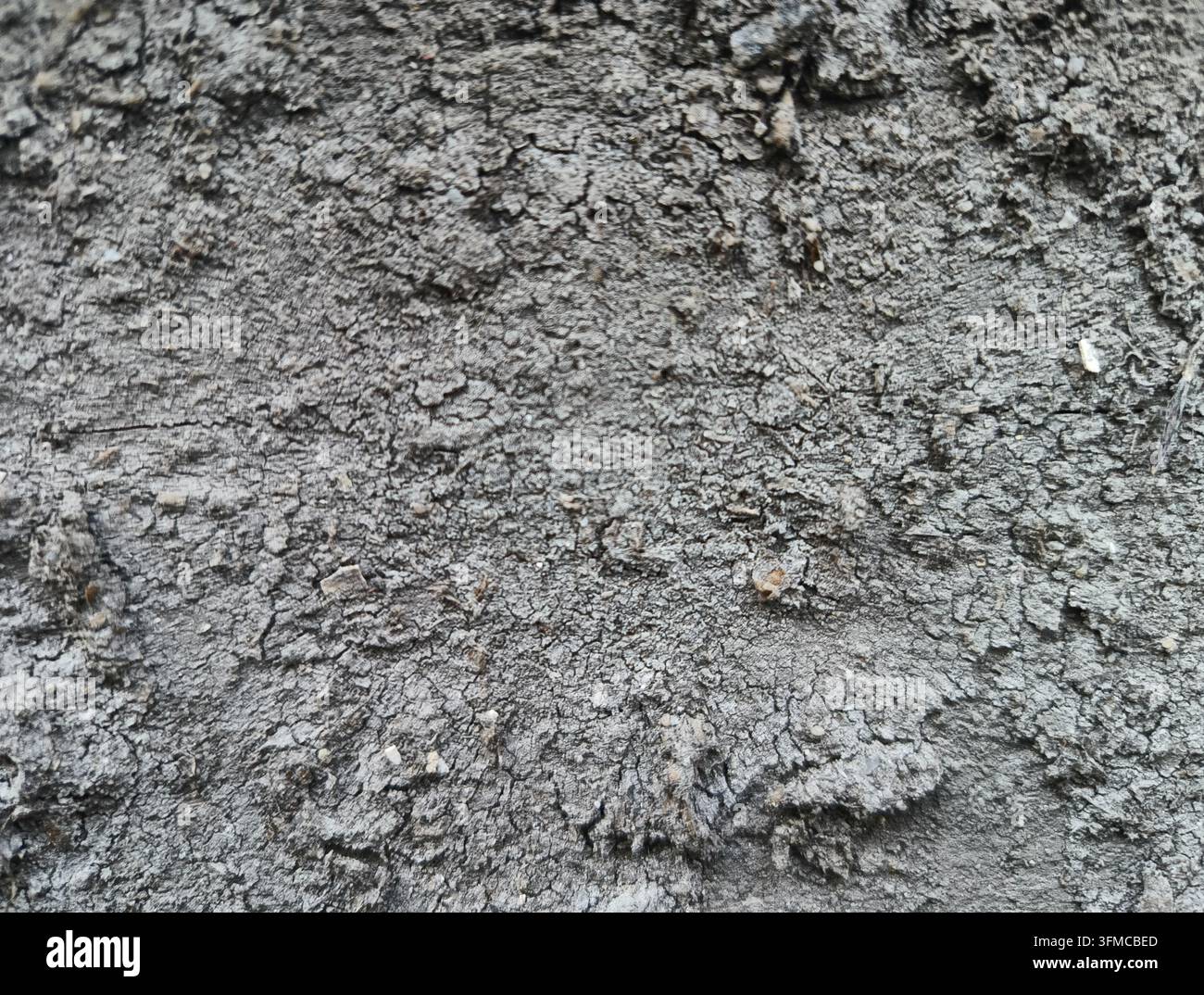Trockener, rissiger Erdboden als Texturrückgrund. Stockfoto