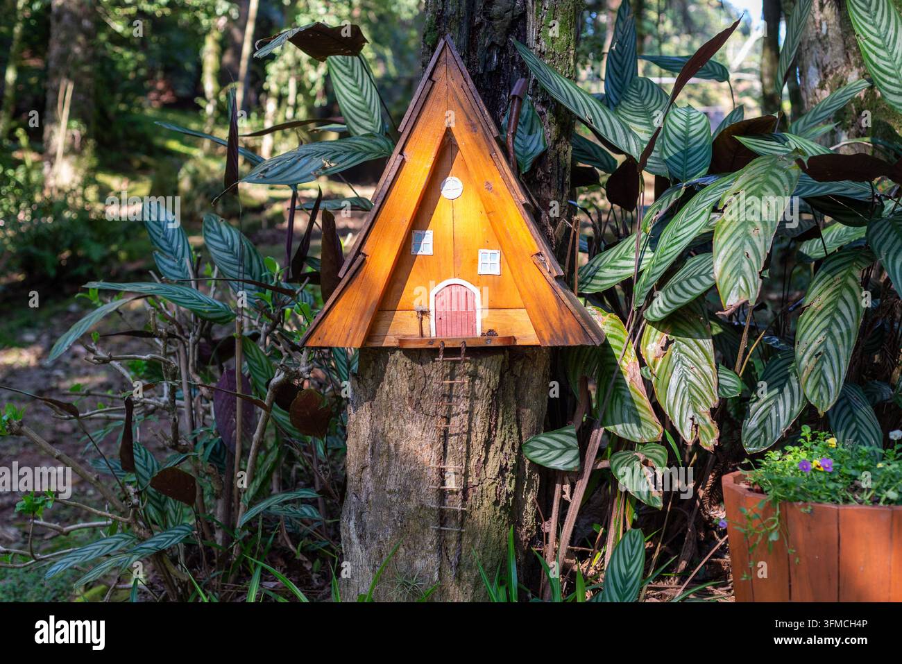 Dreieckiges Vogelhaus auf Baumstumpf Stockfoto