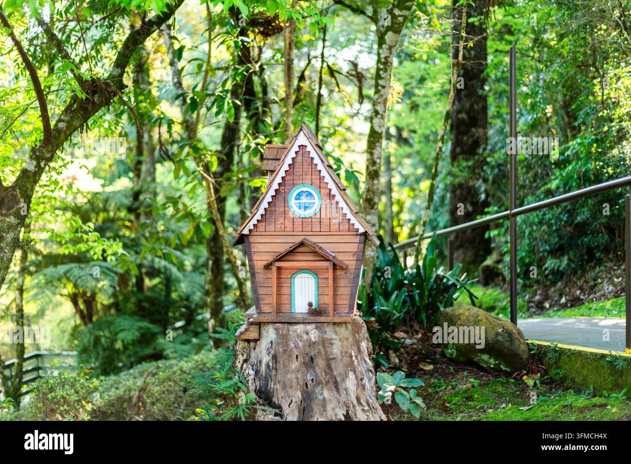 Bezauberndes Miniatur-Holzhaus auf einem Baumstumpf im Wald Stockfoto