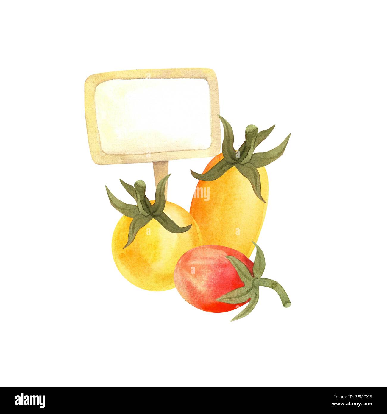 Aquarellgelbe Tomate, isolierte Gemüsekomposition. Saftige reife Gemüse handgezeichnet für Laden- und Lebensmitteldesign Stockfoto