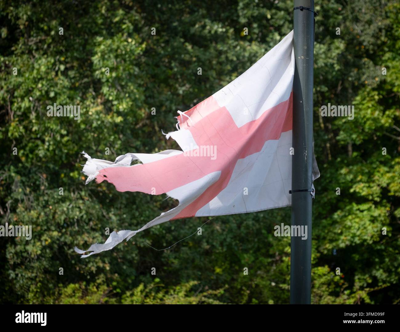 Zerrissene und zerfetzte Flagge von St. Georg weht immer noch im Wind, an einem Straßenlaternenpfosten befestigt, Worcestershire, England. Stockfoto