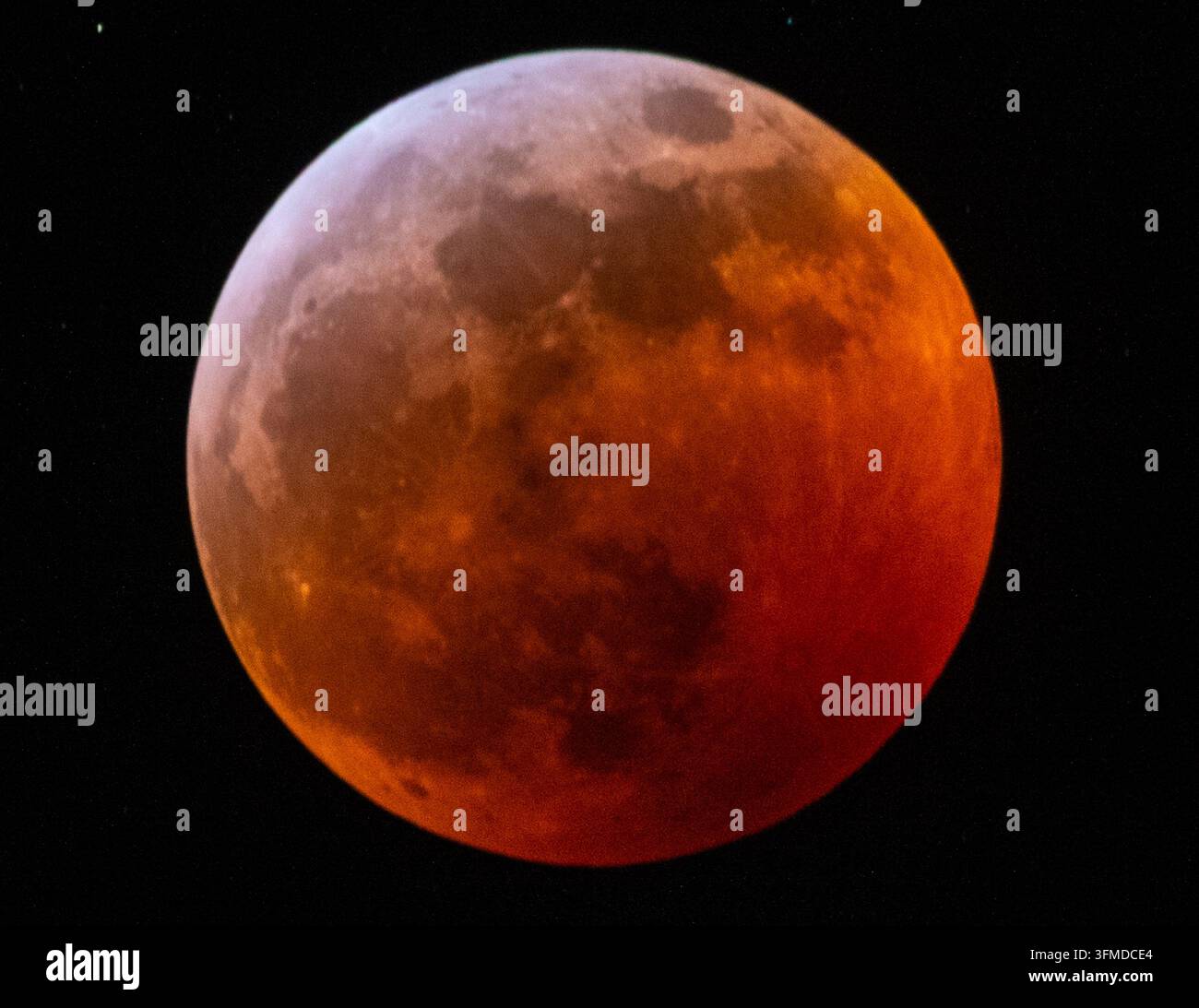 Ansicht des Mondes während einer totalen Mondfinsternis mit einem rötlichen Schimmer vor dem dunklen Nachthimmel in Kanada. Stockfoto