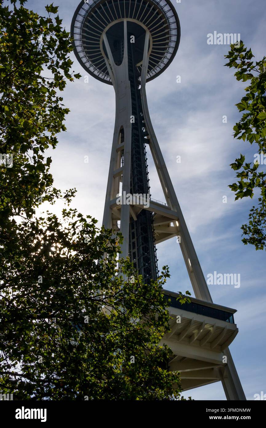 Blick auf den Space Needle Tower, eingerahmt von grünen Ästen vor einem blauen Himmel in Seattle, Washington, Vereinigte Staaten. Stockfoto