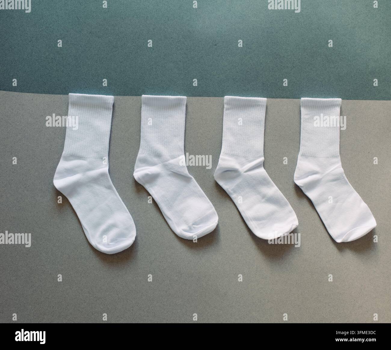 Vier makellose weiße Socken, die in einer ordentlichen Reihe auf einem grauen und blaugrünen minimalistischen Hintergrund angeordnet sind. Stockfoto