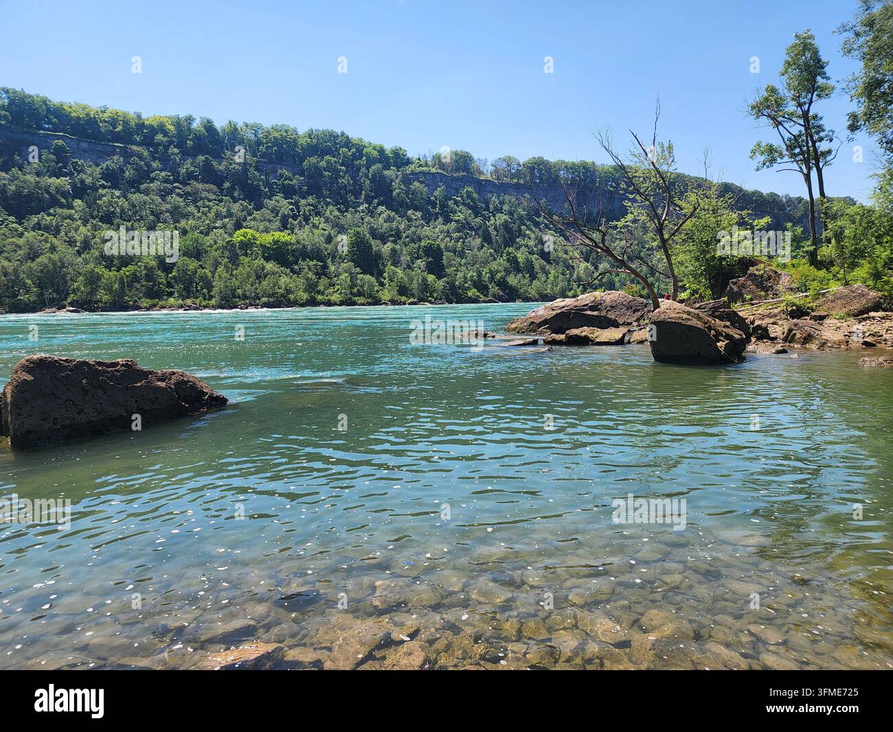Klares türkisblaues Wasser des Niagaraflusses fließt an felsiger Küste vorbei mit üppigem grünem Canyon im Hintergrund. - Smartphone-aufgenommenes Stockfoto