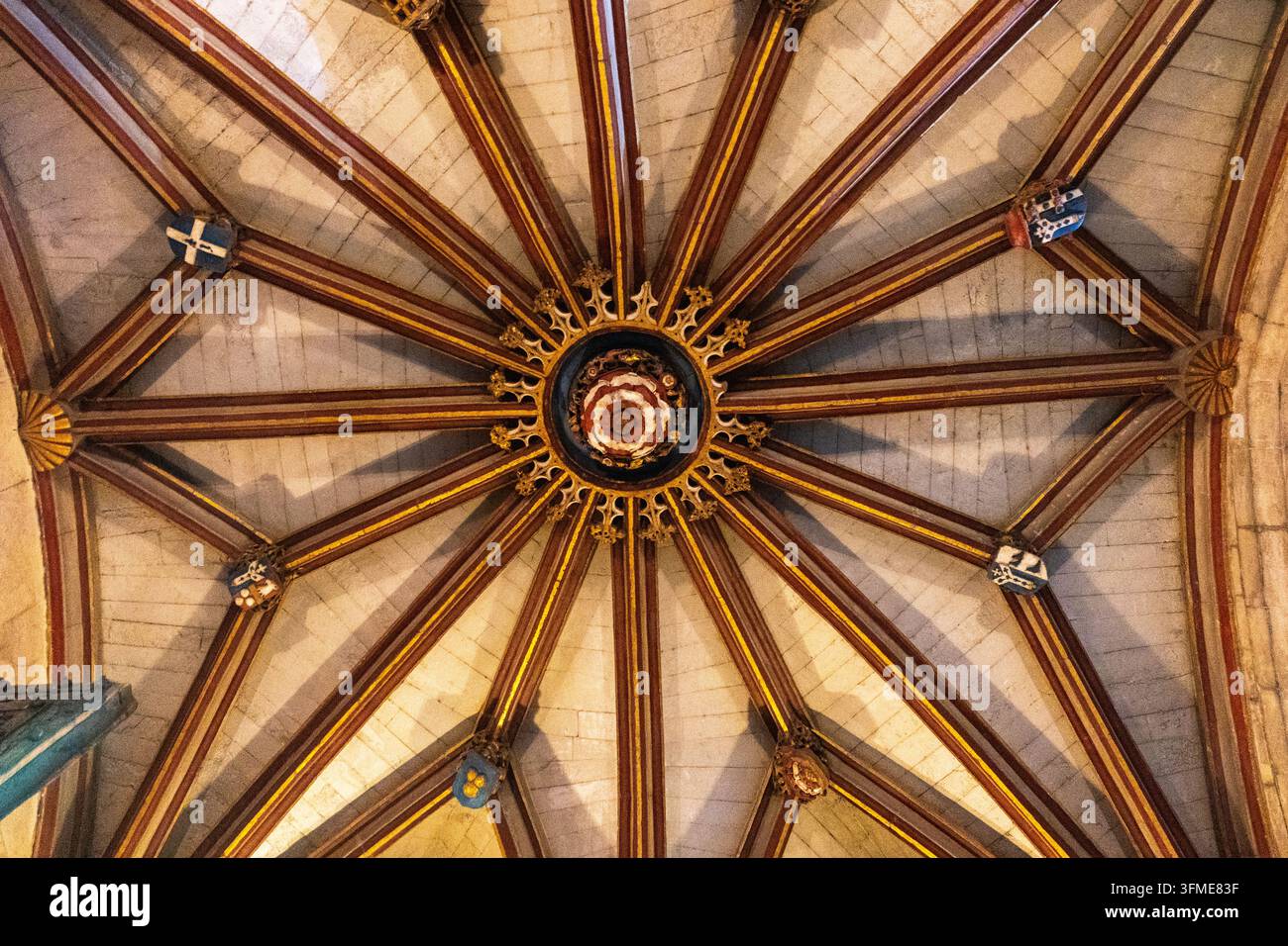 Blick nach oben zu den dekorativen goldenen Rippengewölben, die nachts beleuchtet sind, im historischen Christ Church Gateway in Canterbury, Kent, UK Stockfoto