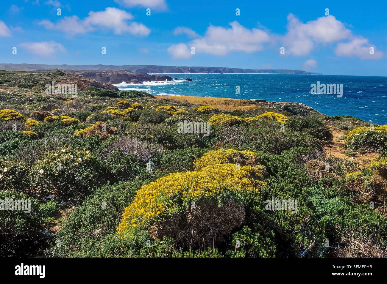 Carapateira, weitläufige Strände, hohe Klippen und Dünen an der Alten Antiken Küste ist einer der berühmtesten Surfstrände in der Region, Carapateira, P Stockfoto