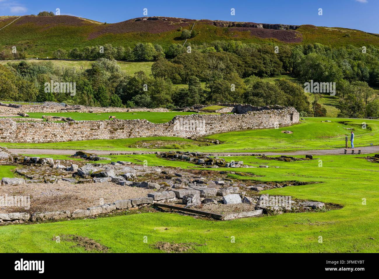Freigelegte Steinruinen einer antiken Festung, grasbewachsene Terrassen und Fußwege ummauern die Mauerwände, grüner Hügel und Wald im Hintergrund Stockfoto