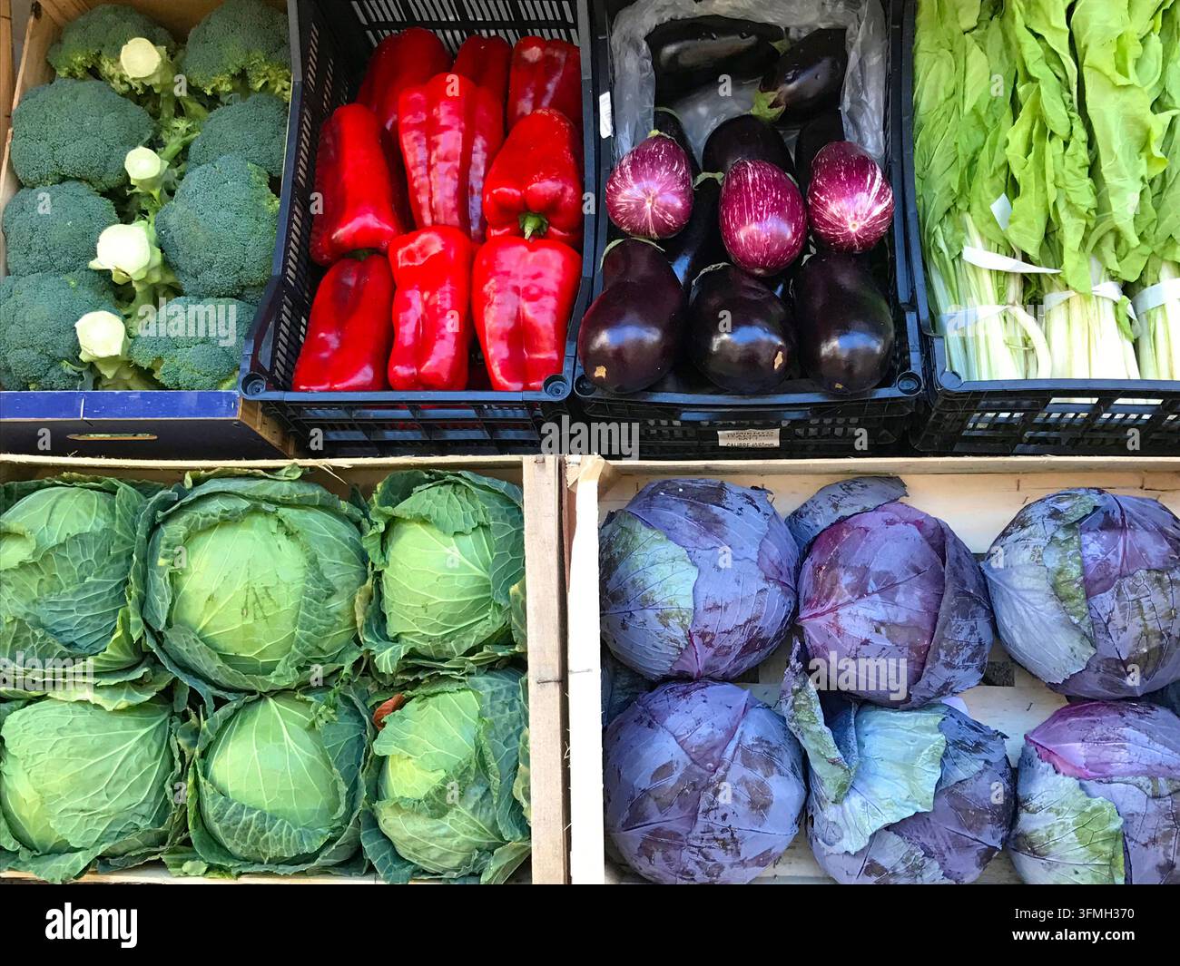 Verschiedenes Gemüse: Brokkoli, rote Paprika, Auberginen, Mangold, Kohl und Rotkohl. Stockfoto