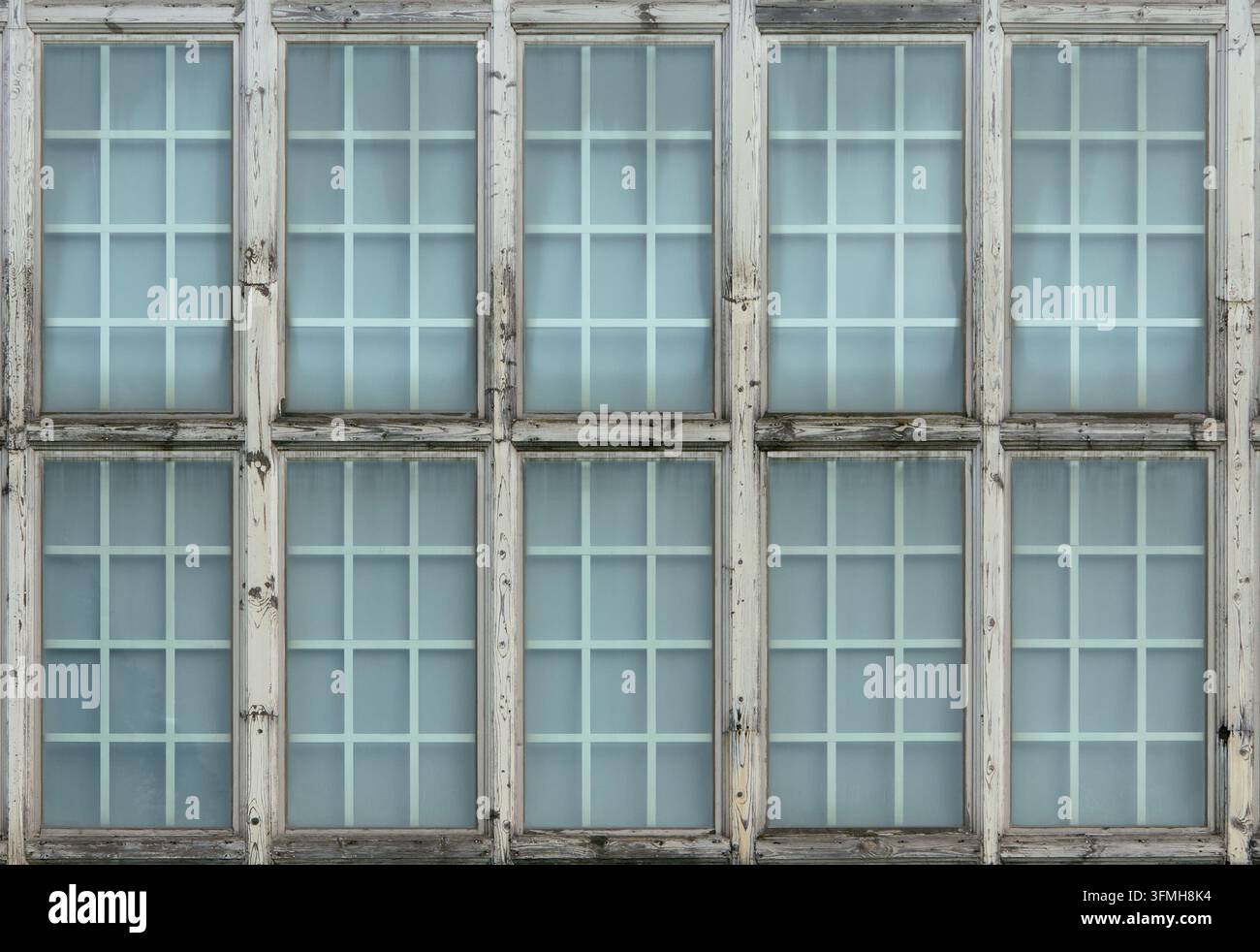 Reihen alter Holzfenster mit hellblauem Glas und rasterartigen Scheiben bilden eine verwitterte, symmetrische Fassade mit abblätternder weißer Farbe und Textur Stockfoto