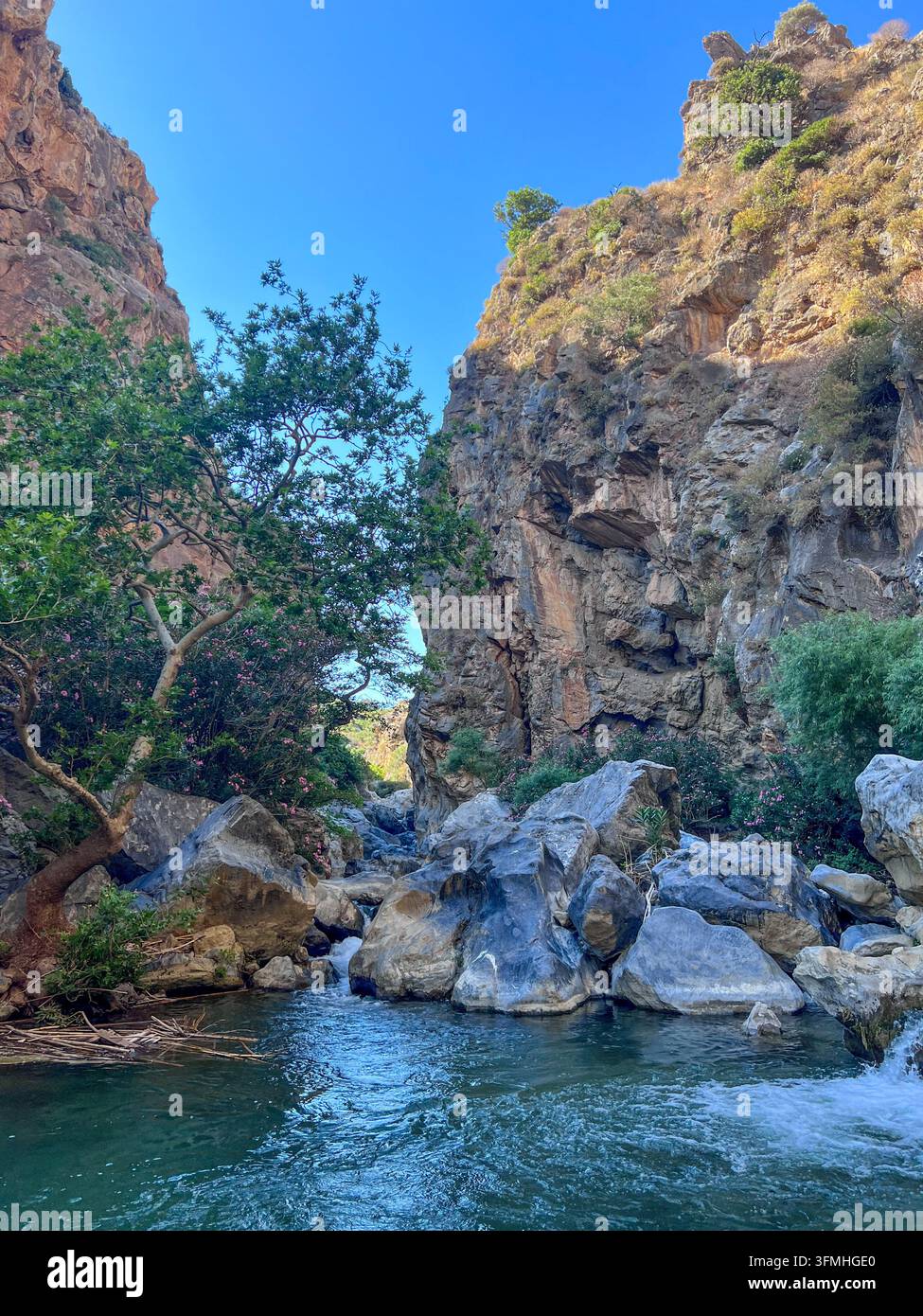 Der klare Fluss Megas Potamos fließt über Geröll und kleine Stromschnellen in einer engen Schlucht mit steilen Klippen und rosa Oleander in Preveli, Kreta, Griechenland. - Smartphone-aufgenommenes Stockfoto