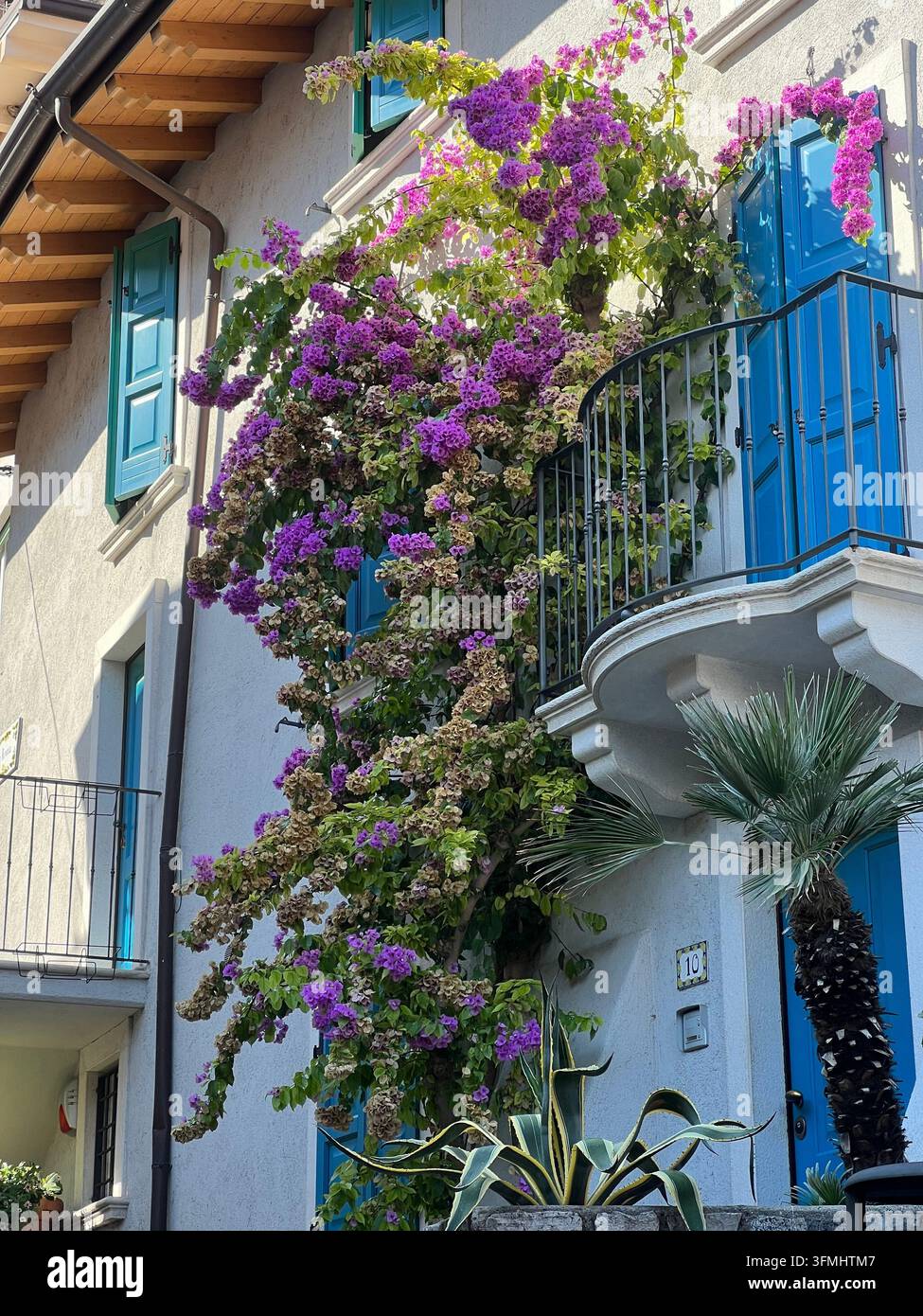 Weißes Haus mit blauen Fensterläden und Kletterblumen in Limone sul Garda, Italien - Smartphone-aufgenommenes Stockfoto