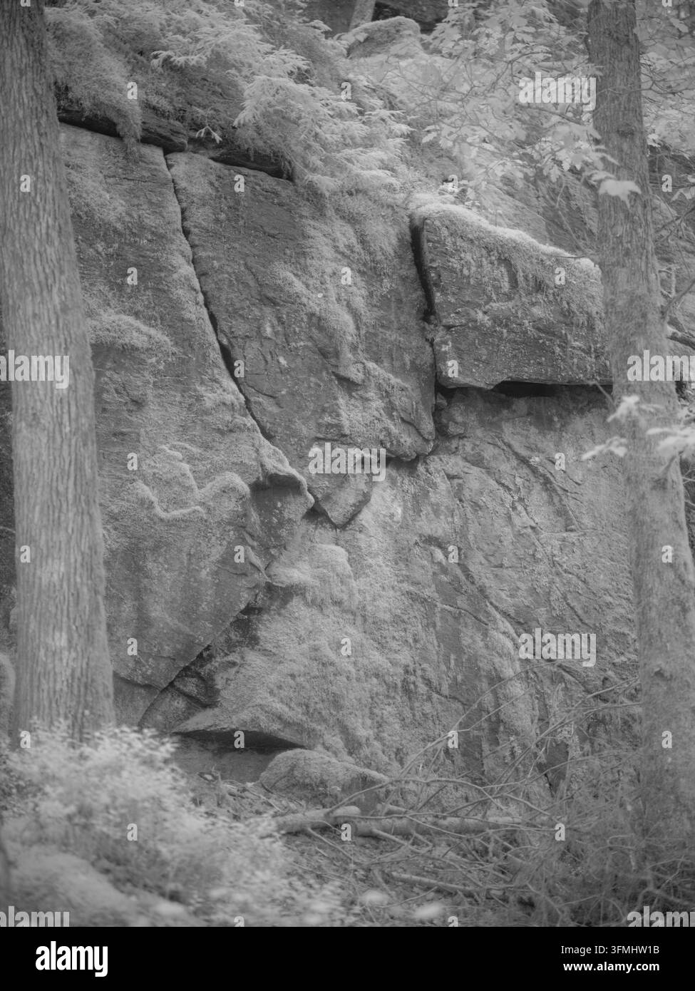 Felsen werden mit Moos auf ihrer Oberfläche in einem dichten Wald gezeigt. Bäume umgeben die Felsen, und das Bild verwendet einen Infrarotfilter, um Details zu verstärken Stockfoto
