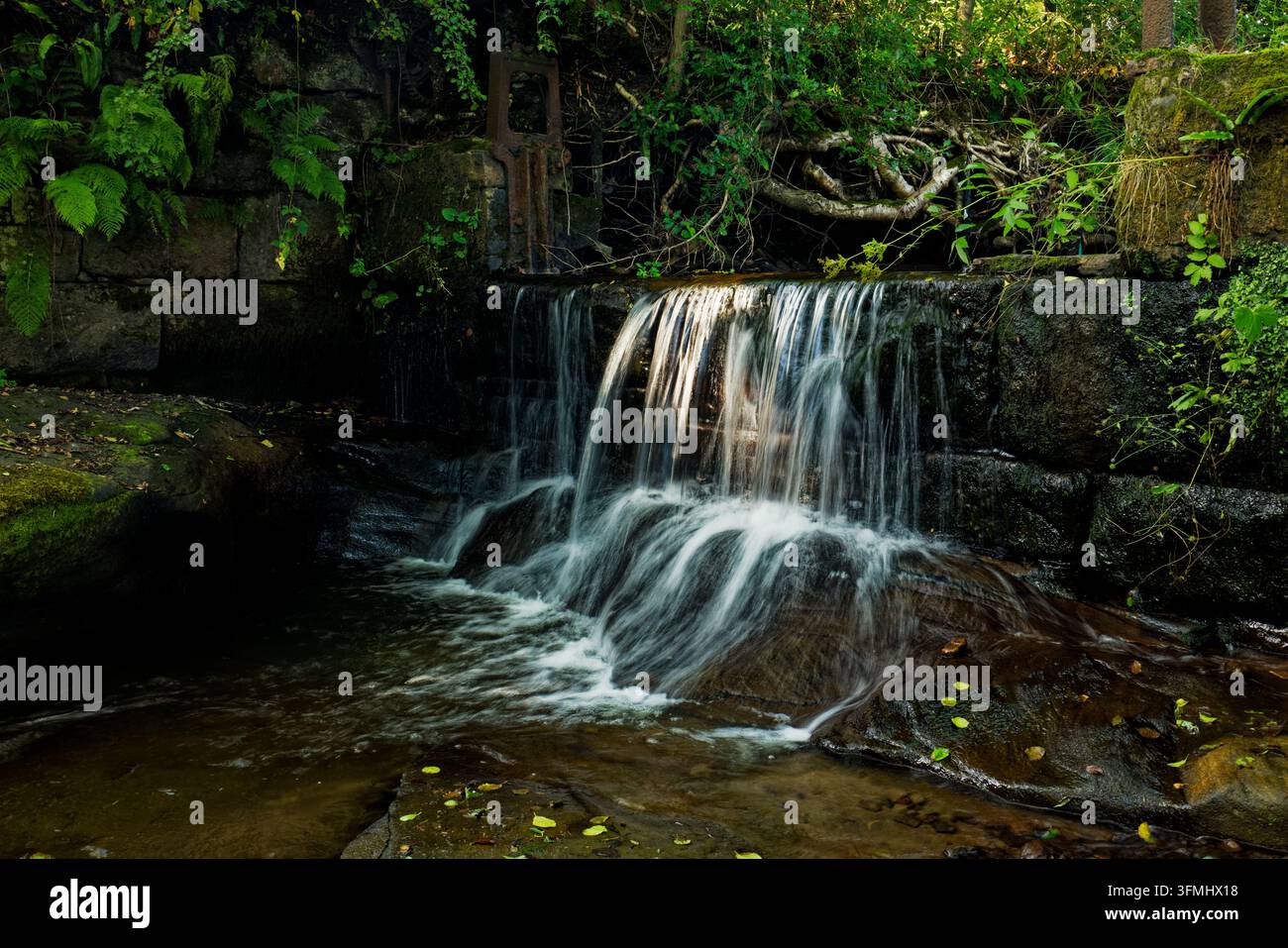 Ein kühlender Wasserfall fließt über einen kleinen Steinwehr an einem Bach in einem bewaldeten, sommerlichen Tal, Dearden Brook, Edenfield, Rossendale, Lancashire. Stockfoto