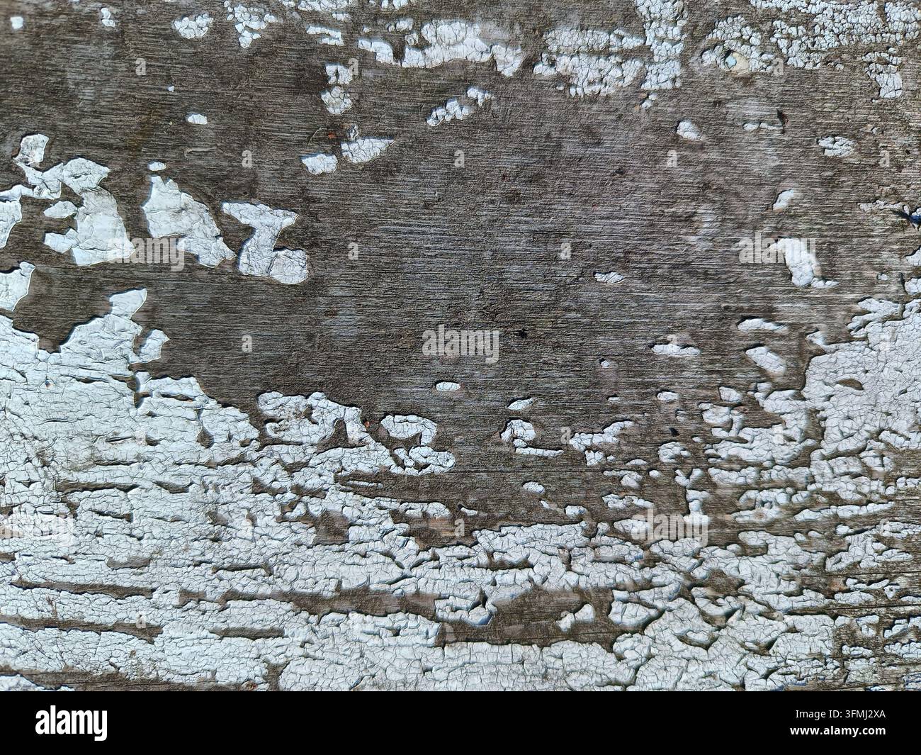 Alte Holzoberfläche mit rissiger und abblätternder weißer Farbstruktur Stockfoto