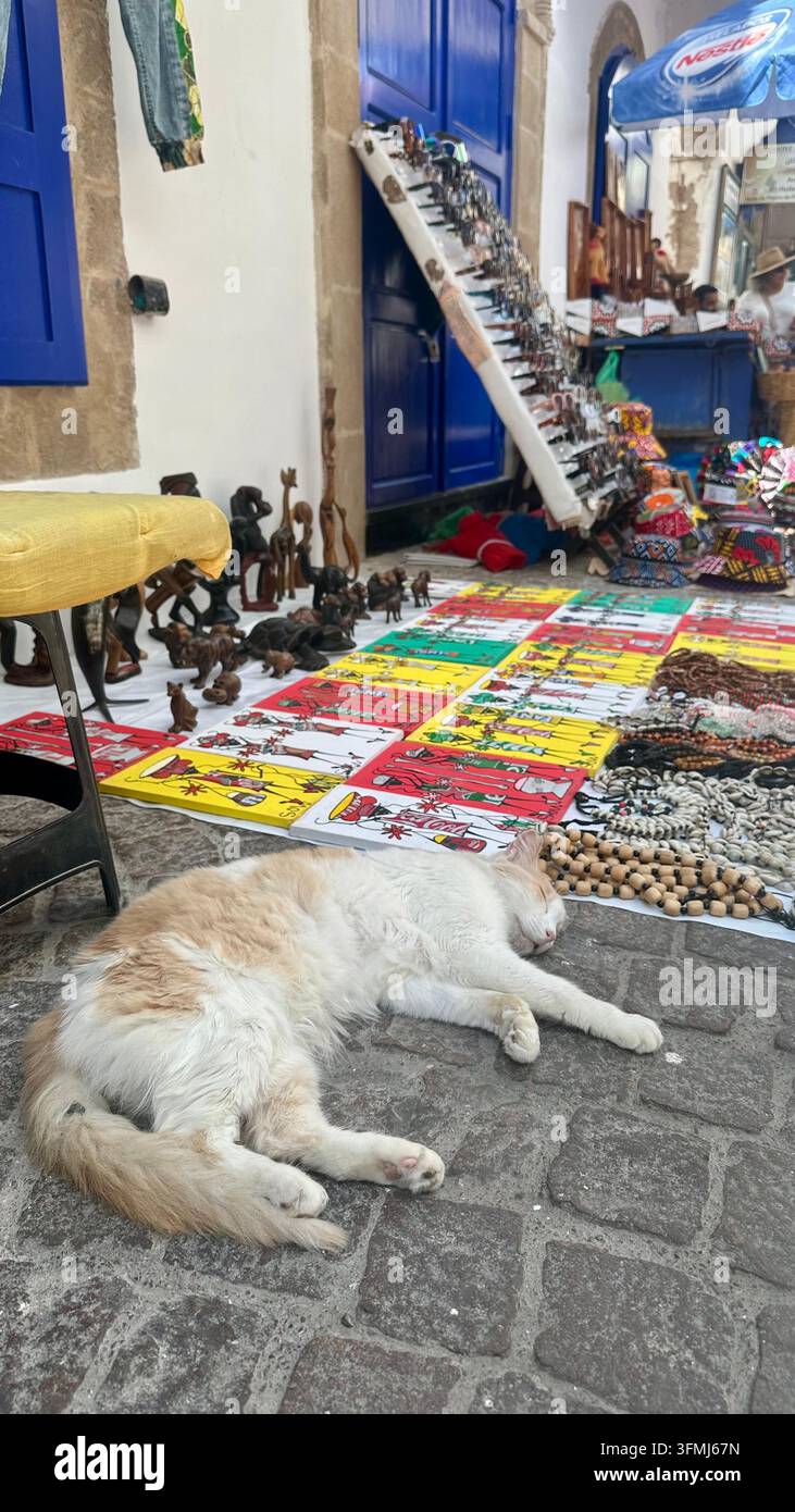 Schlafende Katze ruht auf einer Steinstraße vor einem traditionellen marokkanischen Handwerksladen, der farbenfrohe Souvenirs und handgefertigte Produkte ausstellt. - Smartphone-aufgenommenes Stockfoto