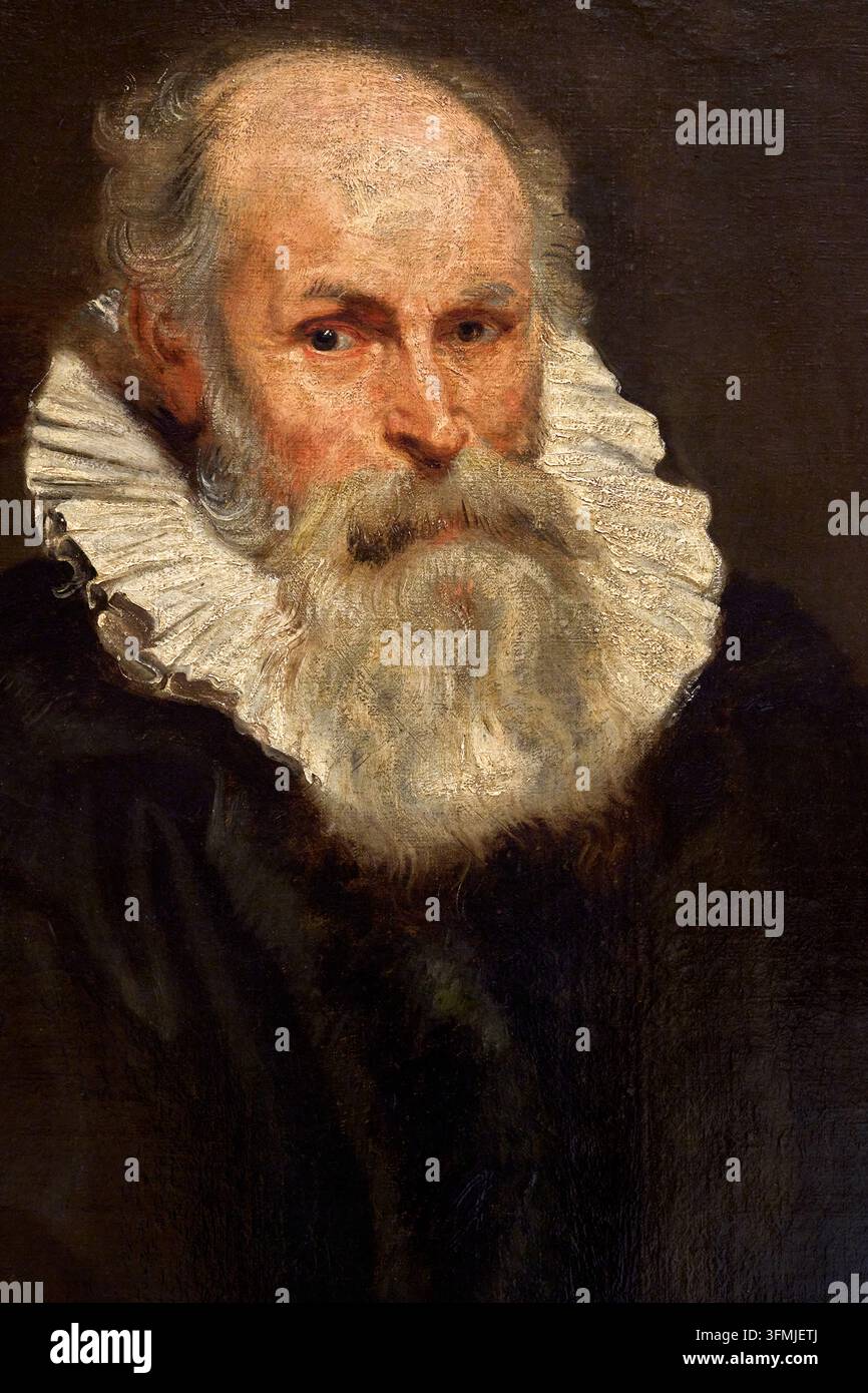 Porträt eines älteren Mannes, Antoon Van Dyck (Antwerpen 1599-London 1641), Musée Old Masters Museum, Brüssel, Belgien Stockfoto