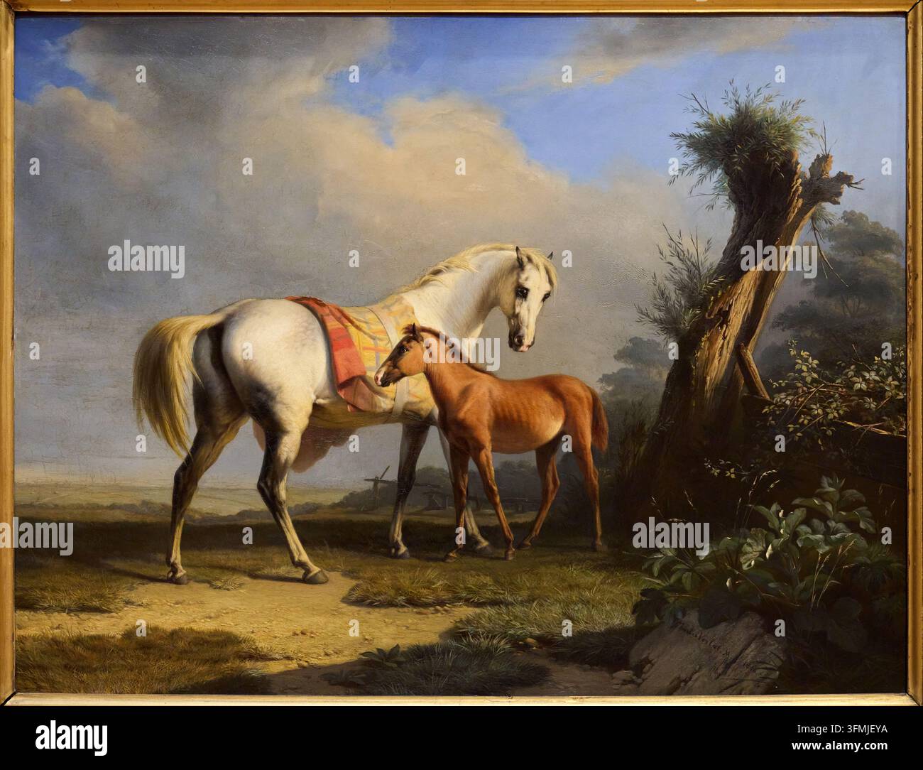 Eine Stute und ihr Fohlen, 1846, Charles Verlat (Antwerpen 1824-1890), Old Masters Museum, Brüssel, Belgien Stockfoto