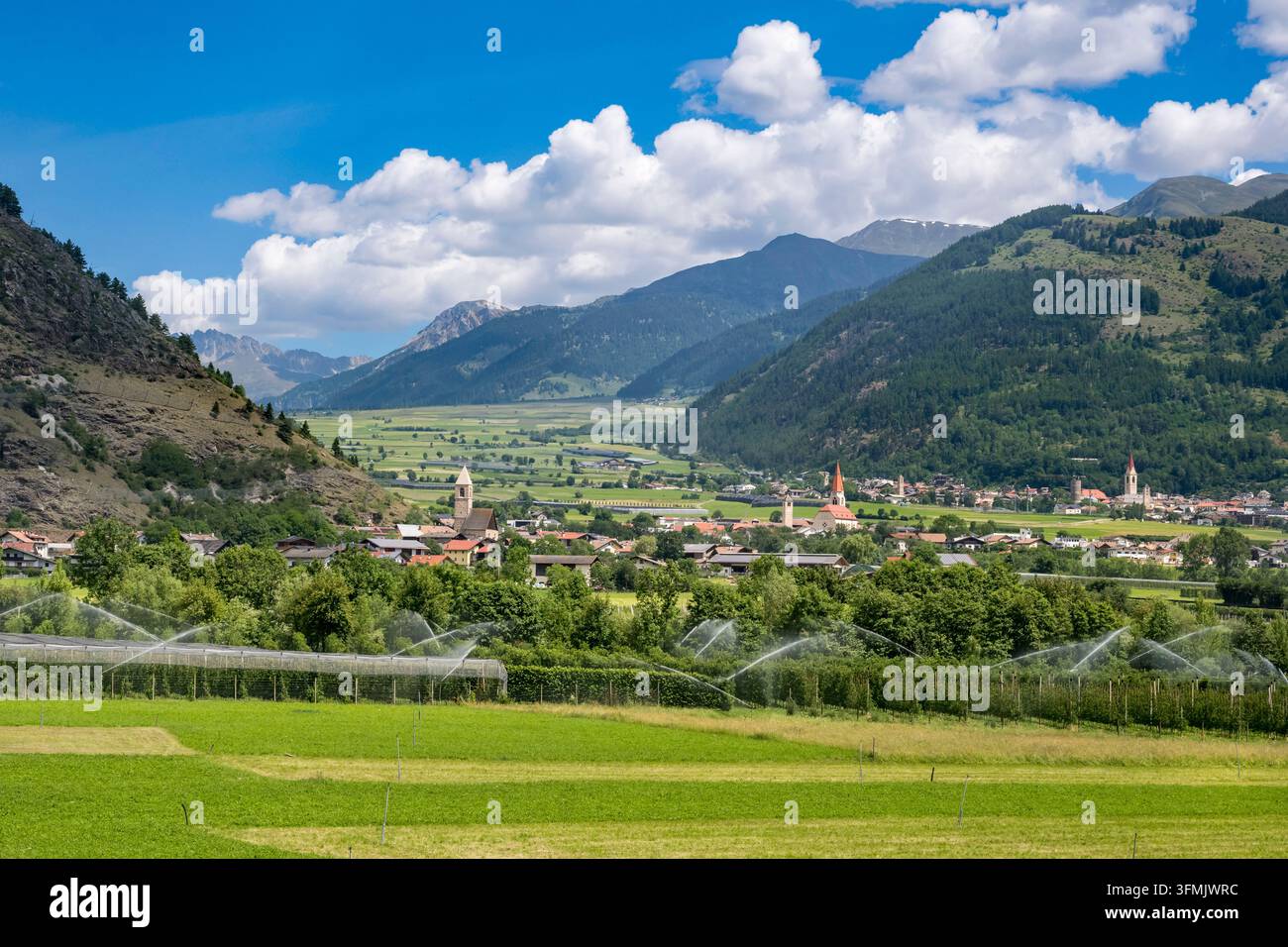 Italien, Trentino-Südtirol, Südtirol, Provinz Bozen, Bewässerte Feldfrüchte im Tal Malles Venosta (Mals im Vinschgau) Stockfoto