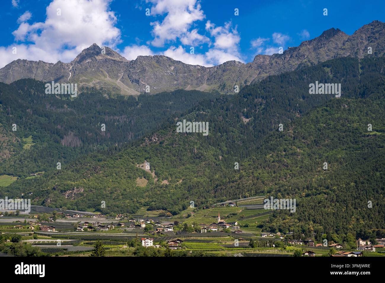Italien, Trentino-Südtirol, Südtirol, Provinz Bozen, Lagundo (Algund), Obstbau und Weinberge Stockfoto