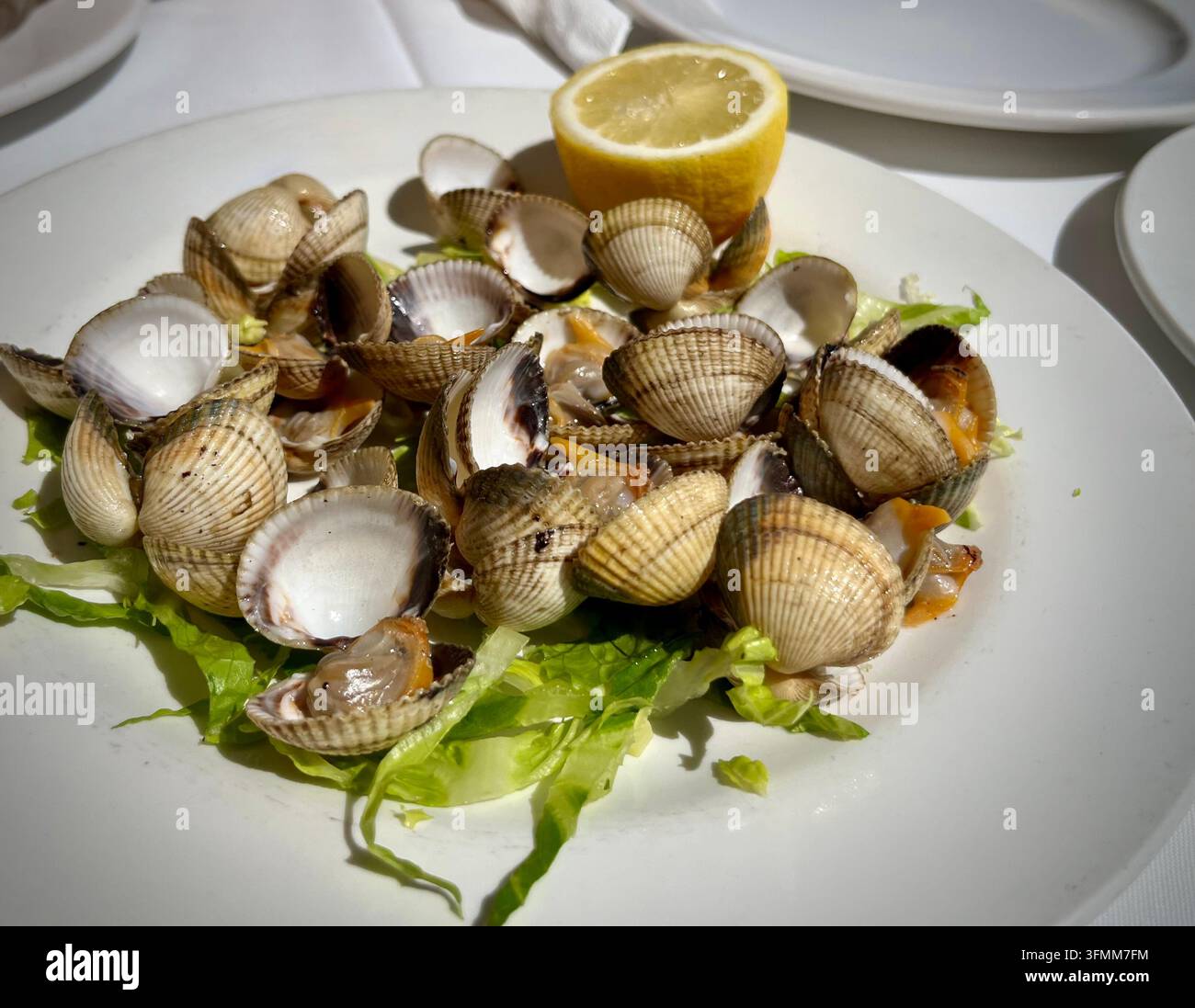 Frische gedämpfte Muscheln serviert mit Zitrone auf einem weißen Teller - Smartphone-aufgenommenes Stockfoto