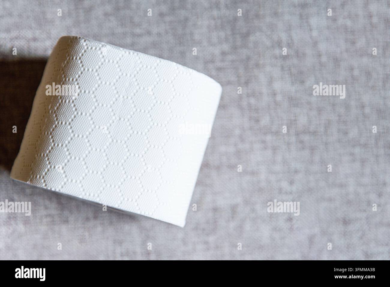 Weiße Toilettenpapierrolle auf strukturiertem grauem Stoffhintergrund mit Kopierraum. Stockfoto