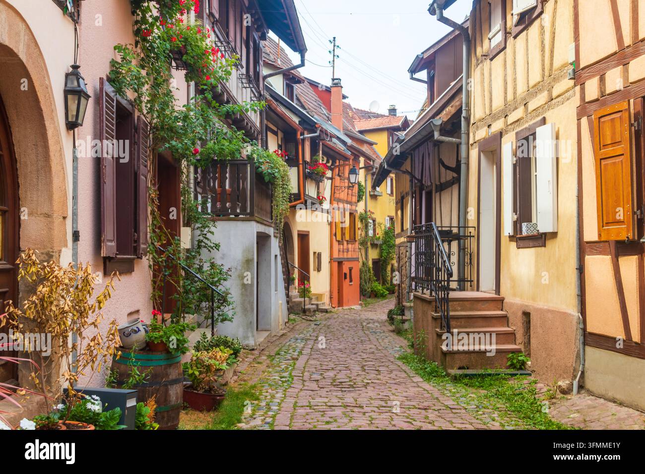 Straße mit malerischen farbenfrohen Fachwerkhäusern im mittelalterlichen Dorf Eguisheim, Elsass, Frankreich. Das Dorf gehört zu den Top 20 von Les Plu Stockfoto