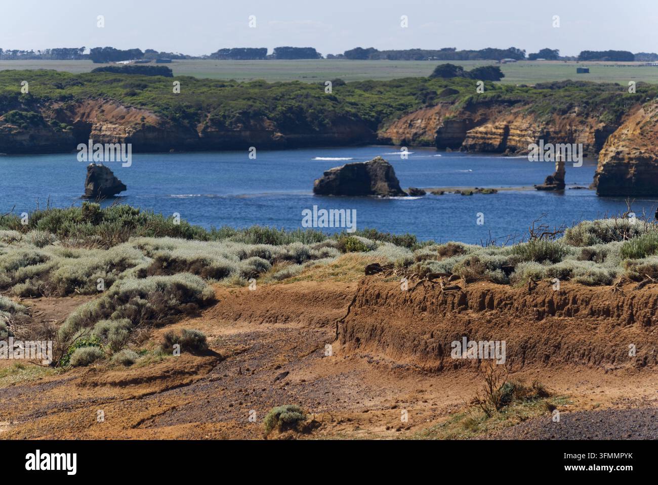 Küstenheide und Offshore-Felsformationen bei The Great Ship, Bay of Islands, Great Ocean Road, Victoria, Australien. Stockfoto