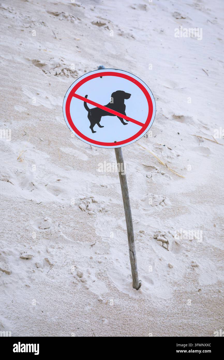 Schilder "Keine Hunde am Strand" Stockfoto