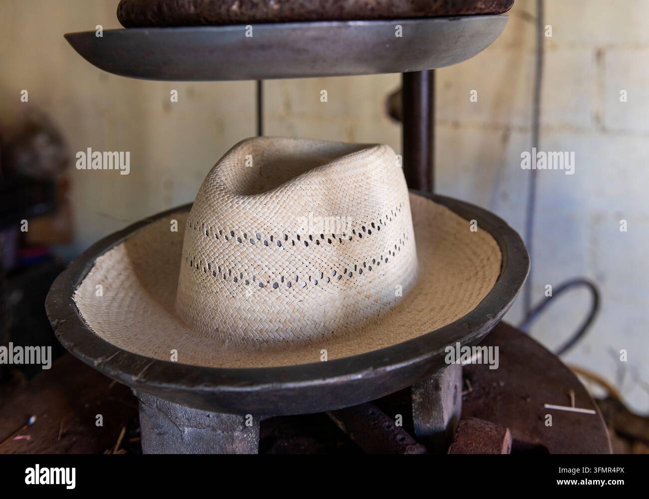 Panama-Hut im Heißpress, Becal, Bundesstaat Campeche, Yucatan, Mexiko. Stockfoto