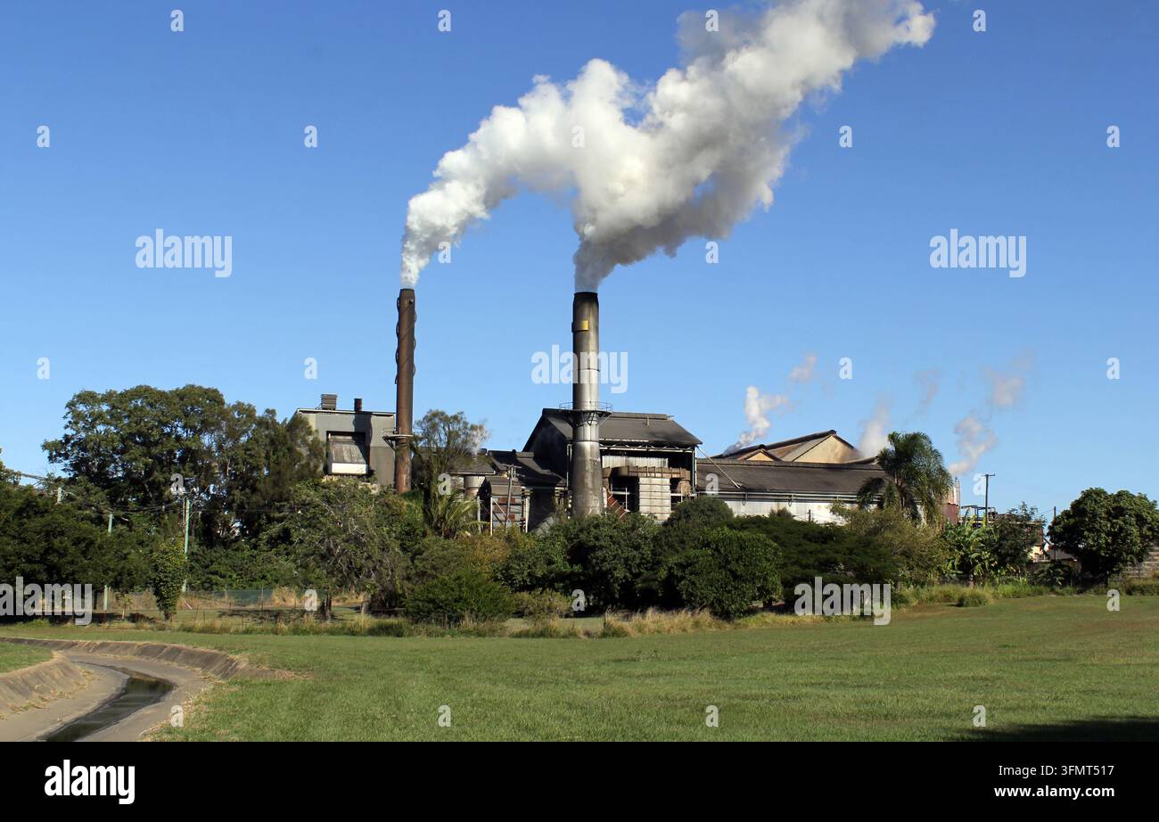 Die historische Millaquin-Zuckerfabrik stößt weiße Dampfwolken aus den Schornsteinen in einen klaren blauen Himmel in Bundaberg, Queensland, Australien Stockfoto