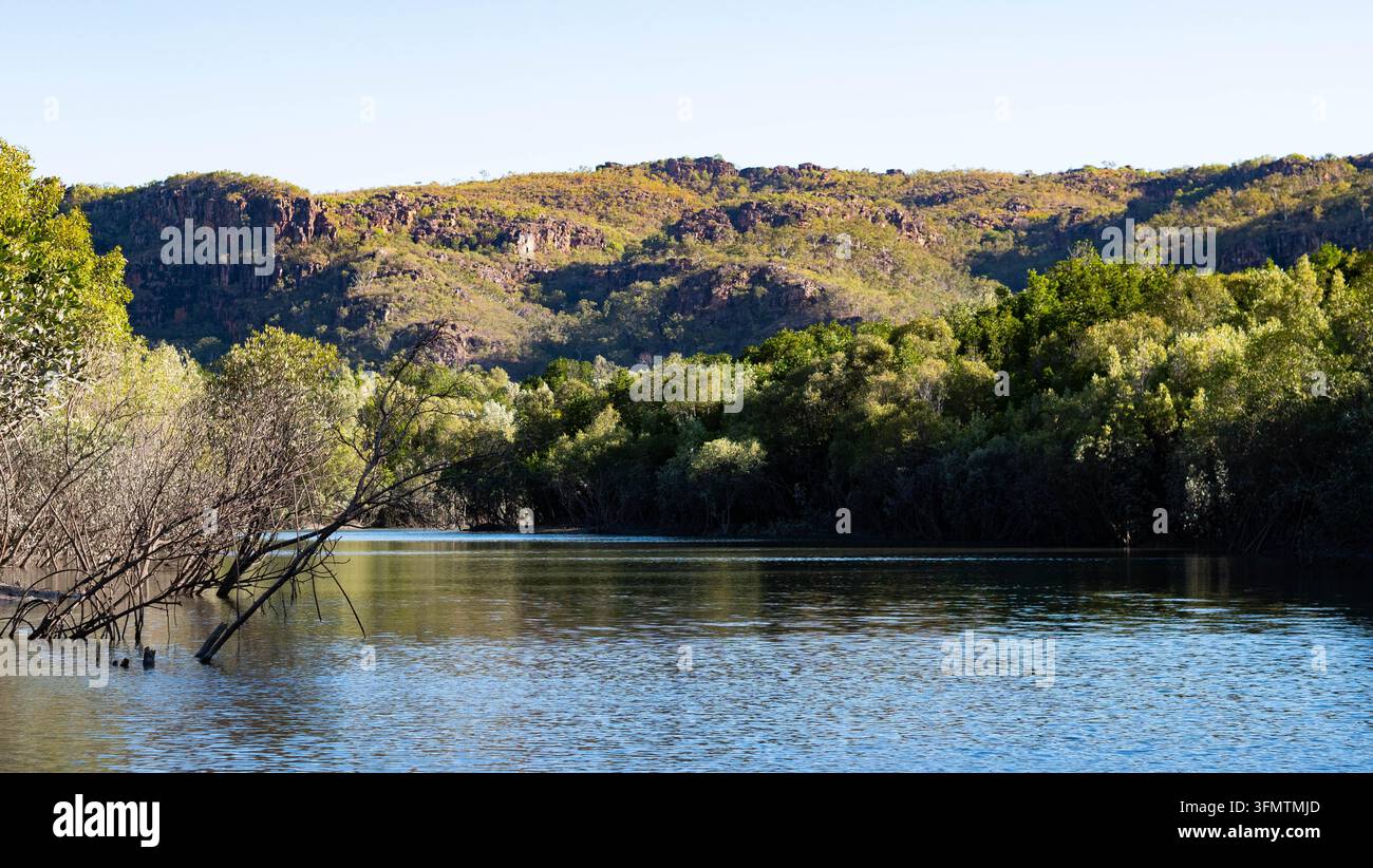 schöne Landschaftszusammenstellung Australien Kimberley Küste grüne Mangrovenwälder üppig Stockfoto