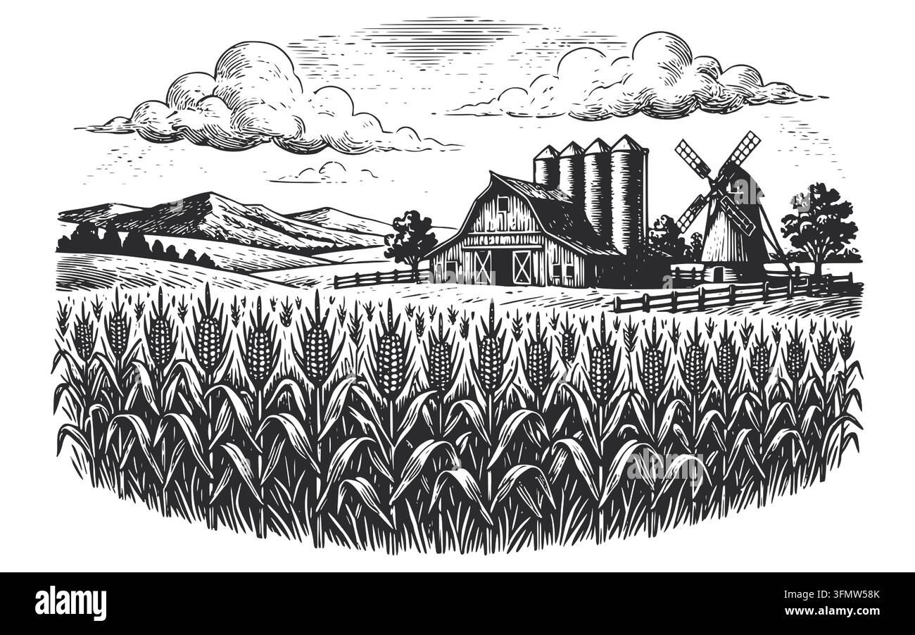 Landschaft mit Weizenfeld, Scheune, Silos und Windmühle, Gravur-Vektorillustration. Zum Drucken auf Verpackungen von Farmen, Bäckereien, Landwirtschaft Stock Vektor