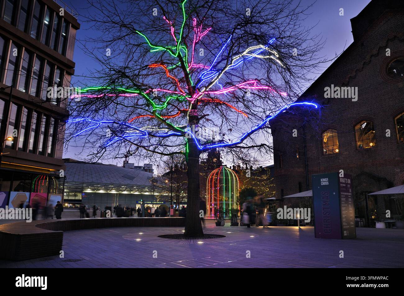 Baumzweige, die mit lebendiger mehrfarbiger LED-Neonflexbeleuchtung zu Weihnachten geschmückt sind, Battle Bridge Place, King's Cross, London, England, UK. Xmas Stockfoto