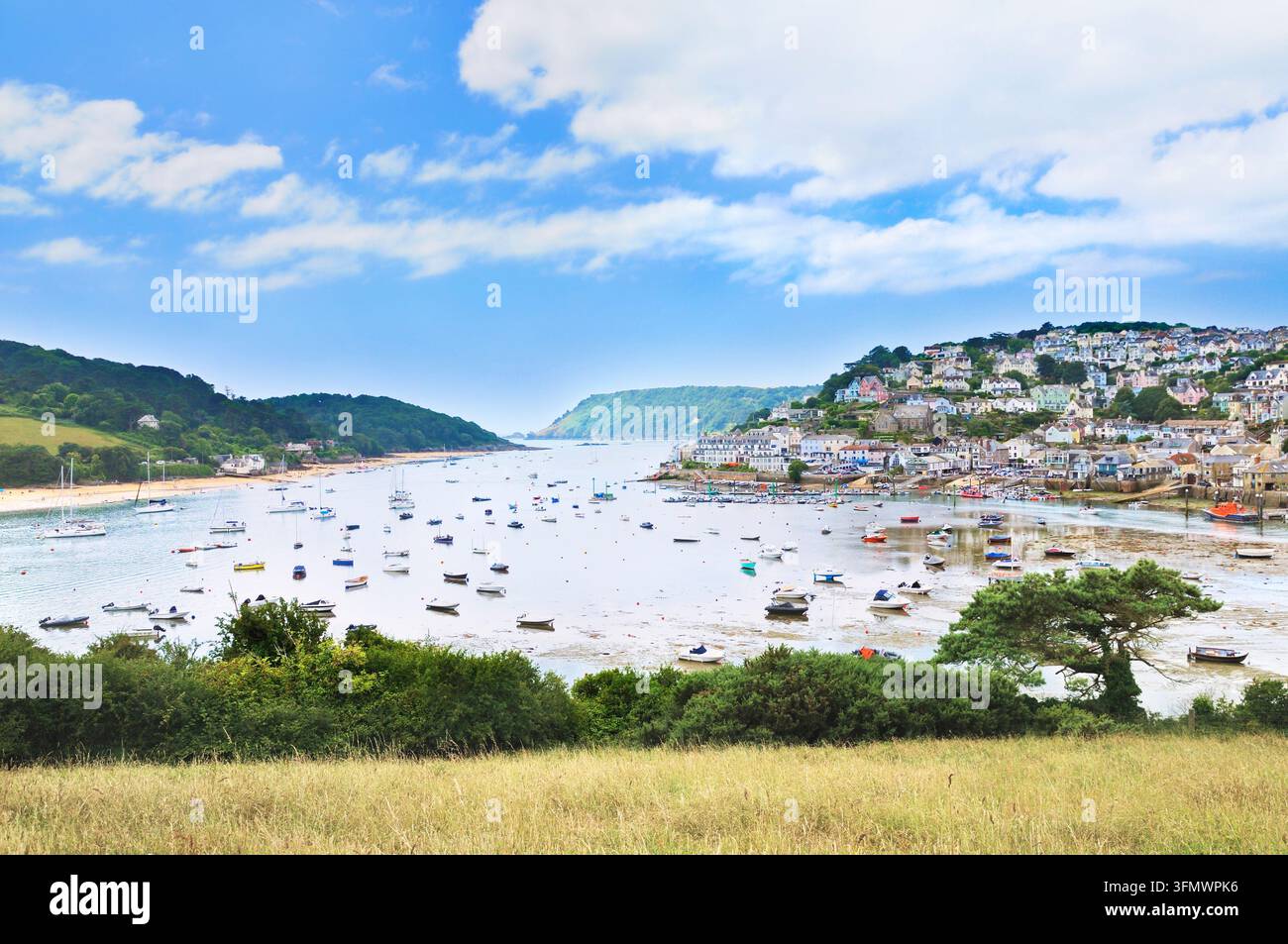 Blick vom Snapes Point aus auf die Stadt Salcombe mit Booten im Hafen und in der Mündung von Kingsbridge, South Hams, South Devon National Landscape, England, Großbritannien Stockfoto