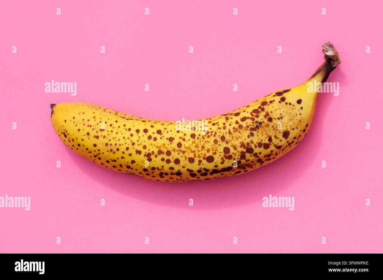Eine gelbe überreife gefleckte Banane mit natürlichen braunen Zuckersprenkel auf der Schale vor einem farbenfrohen rosa Hintergrund. Obst, Früchte, gefleckte Bananen. Stockfoto