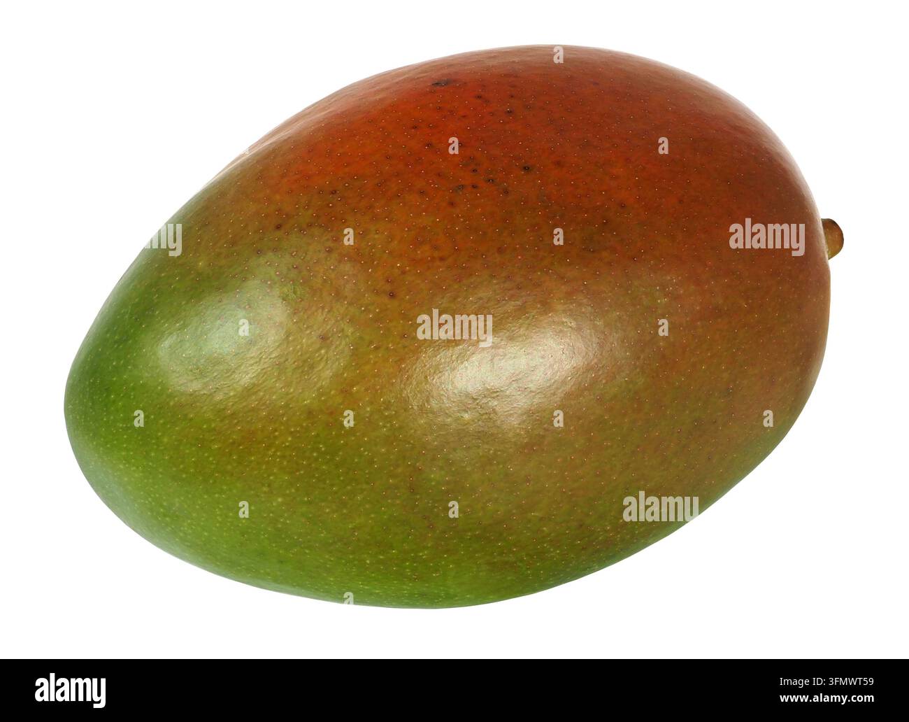Ganze Mangofrucht isoliert auf weißem Hintergrund Stockfoto