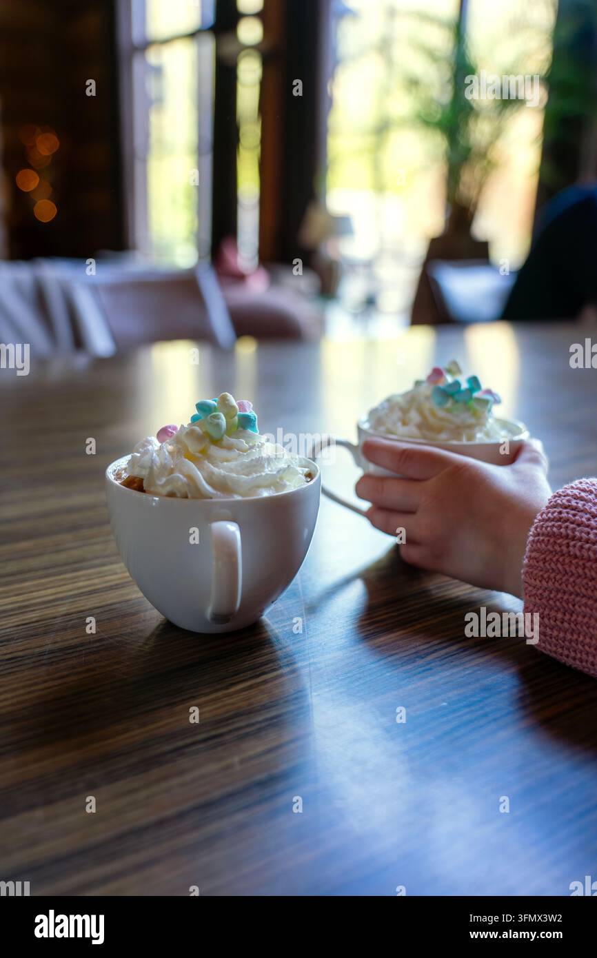 Zwei heiße Schokoladen mit Schlagsahne und Marshmallows in einem gemütlichen Café Stockfoto