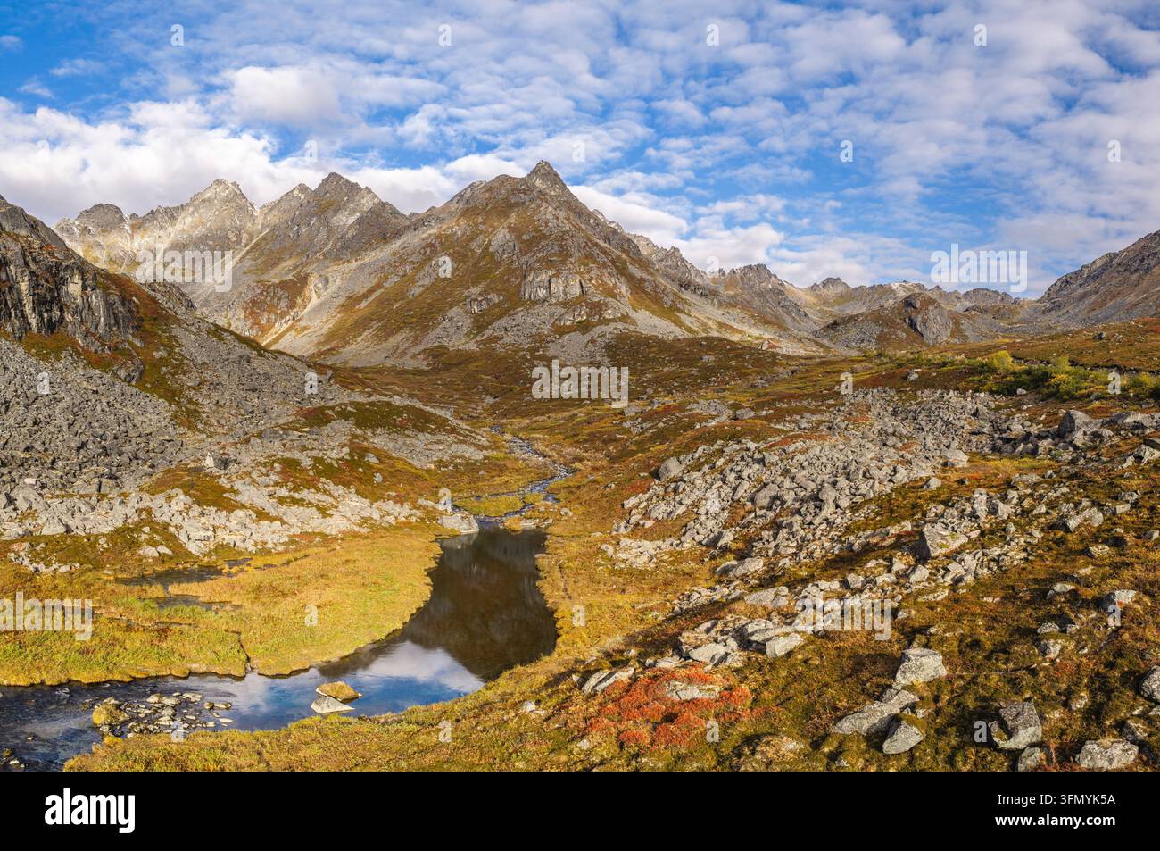 Herbstfarben umgeben Archangel Creek und das raue Gelände der Talkeetna Mountains in Südcentral-Alaska. Morgen. Stockfoto