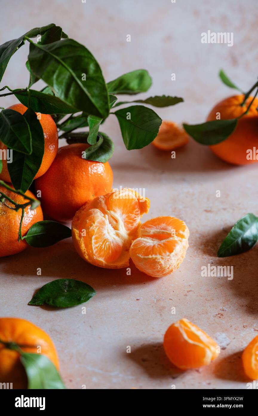 Frische Mandarinen, arrangiert mit glänzenden grünen Blättern auf einer rustikalen hellen Oberfläche, mit ganzen Früchten, geschälten Zitrussegmenten und einem lebendigen natürlichen Orange Stockfoto